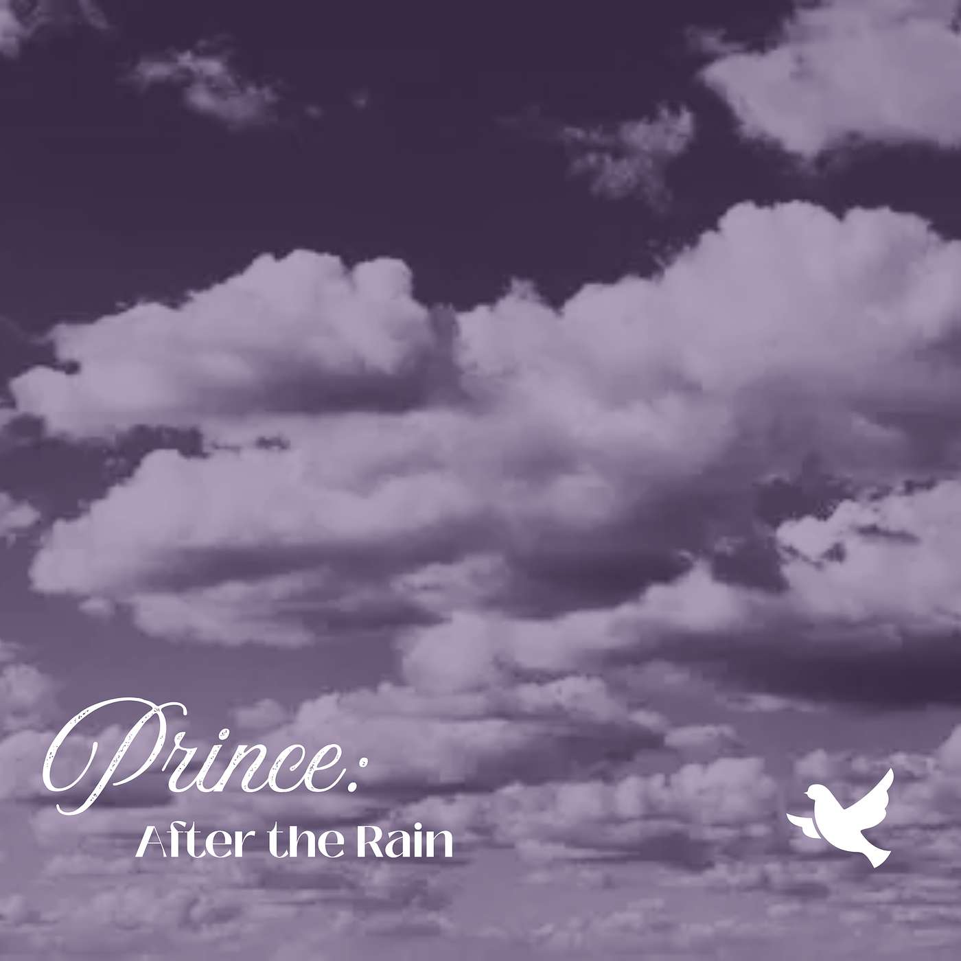 Prince: After the Rain