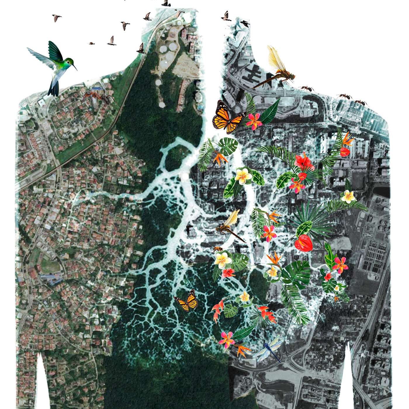 Architecture Education: The Application of Theory in the Design Studio Work - Part 2