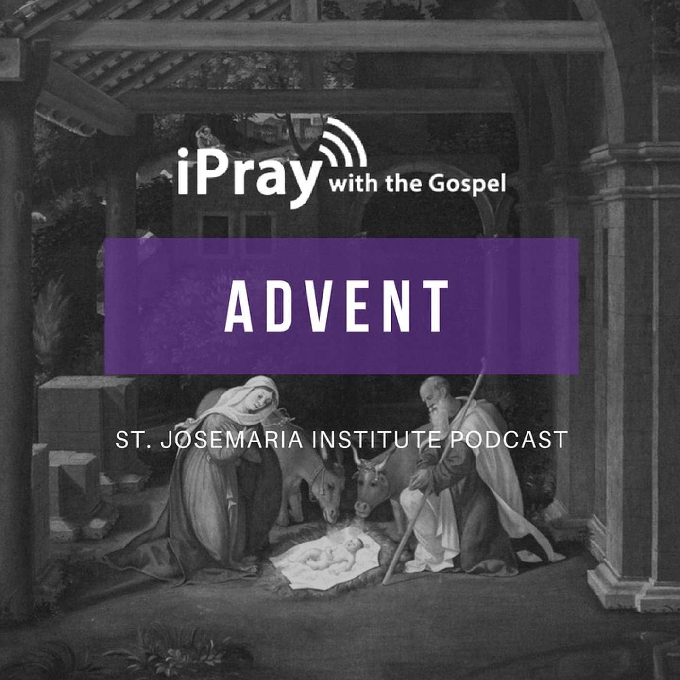 She Will Bear a Son | iPray with the Gospel (The Fourth Sunday of Advent)