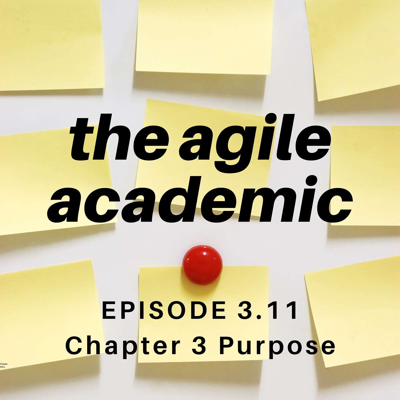 the agile academic