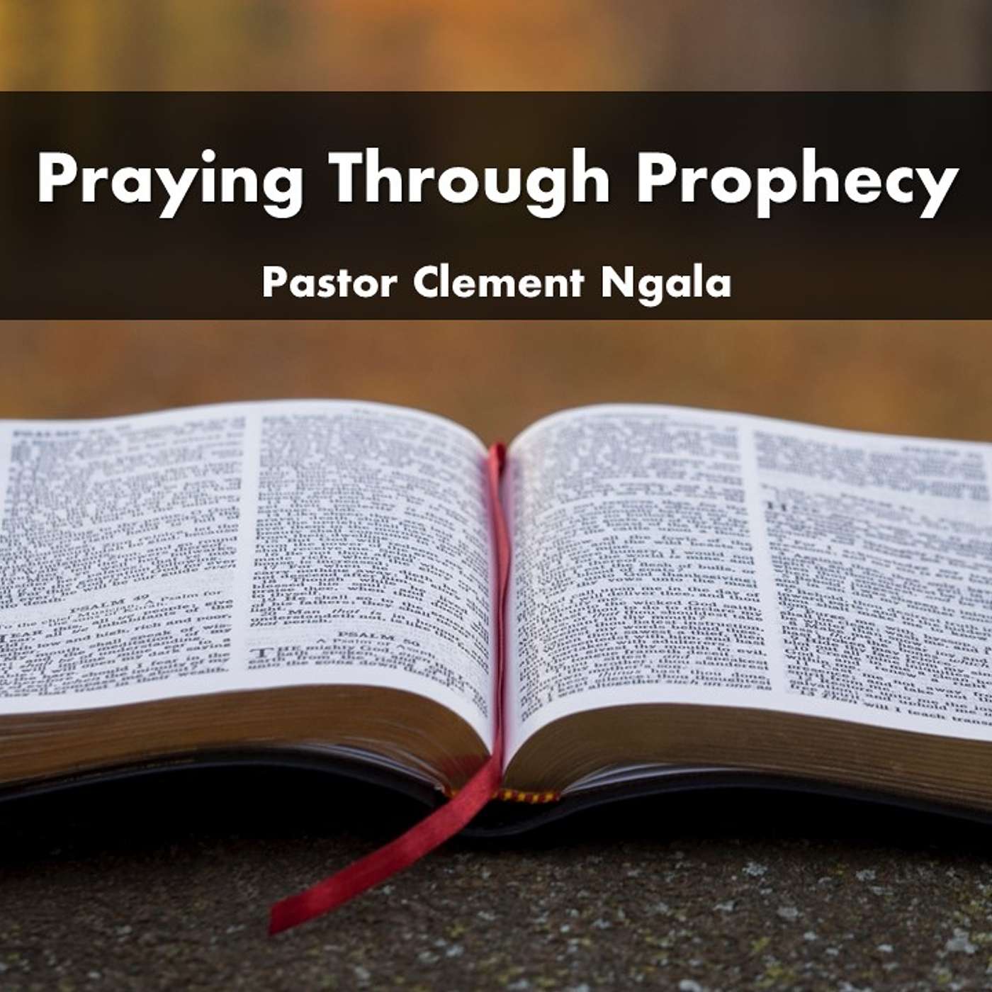 Praying through Prophecy episode artwork
