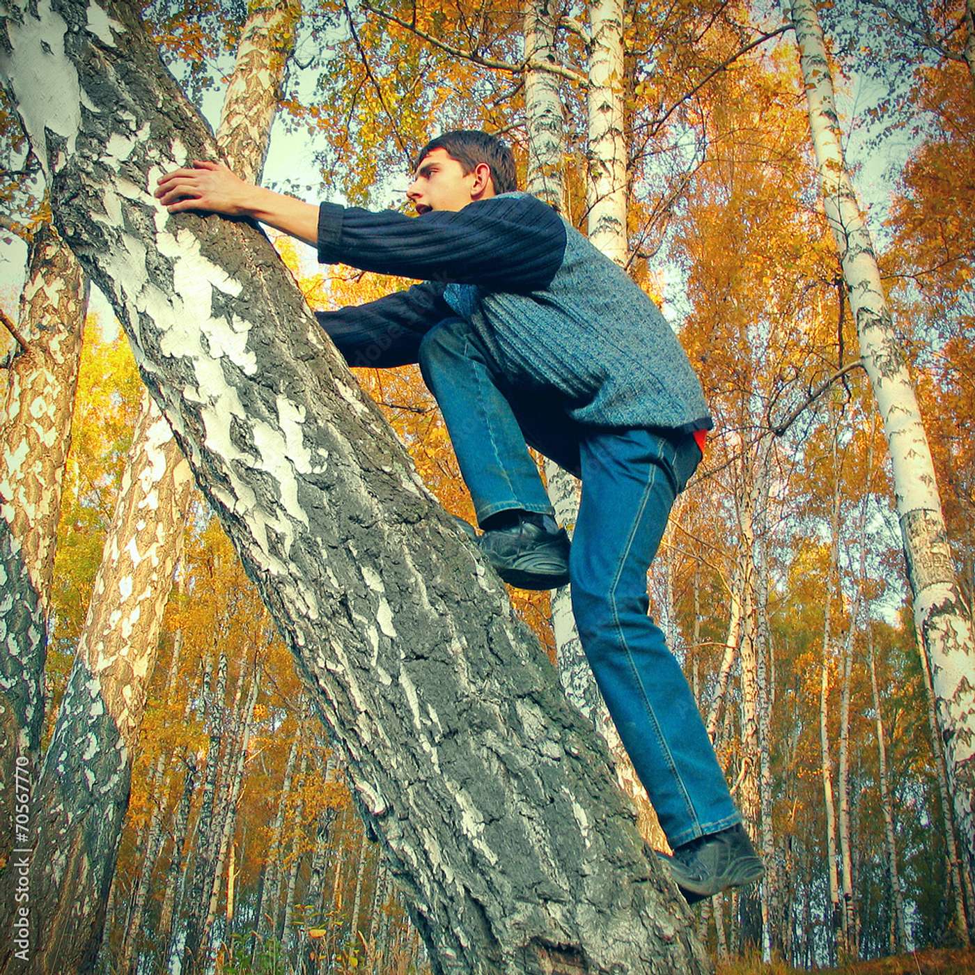 cover of episode Are there more trees on Earth than people?