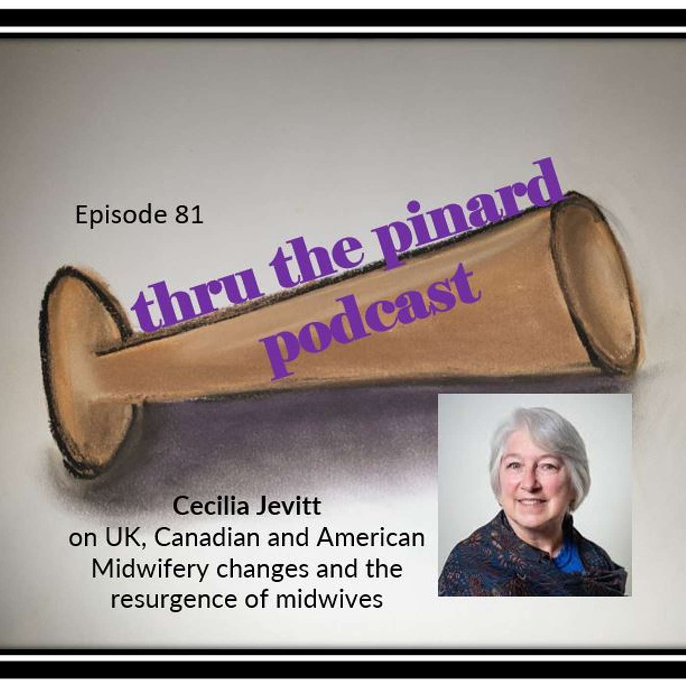 Ep 81 Cecilia Jevitt on UK, Canadian and American Midwifery changes and the resurgence of midwives
