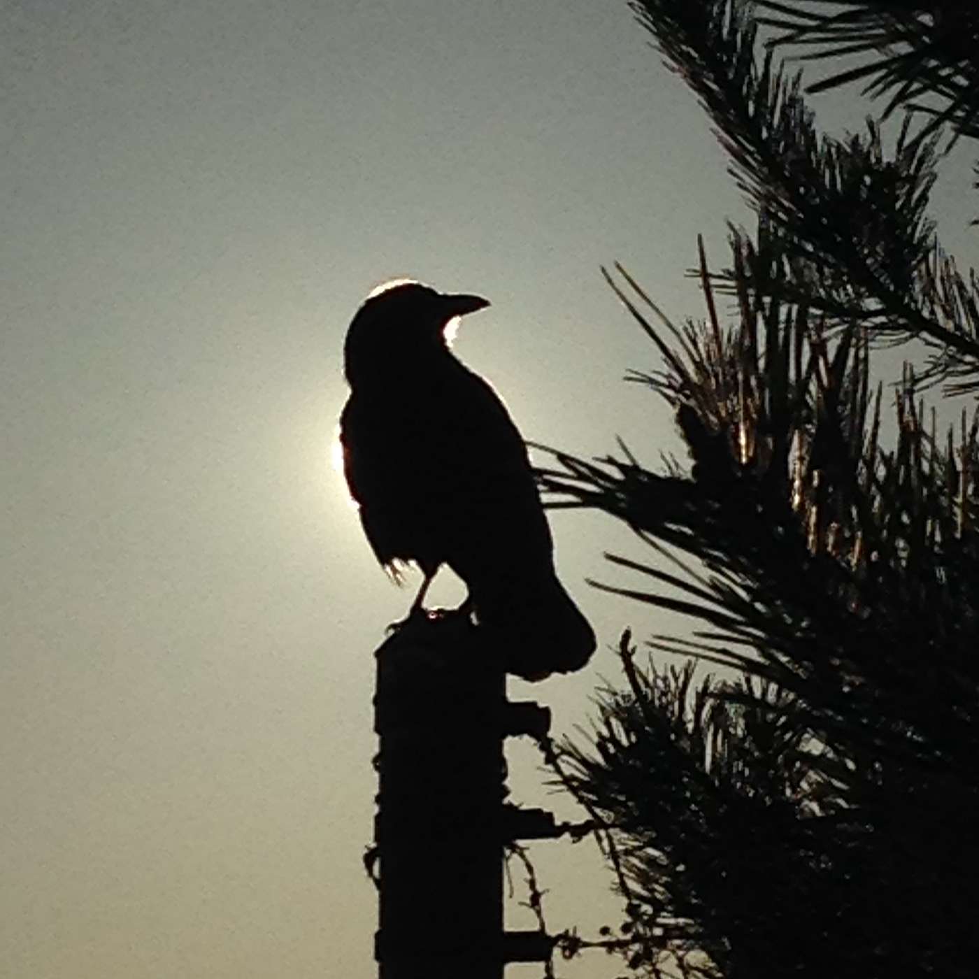 Episode 10 - Change of Plans