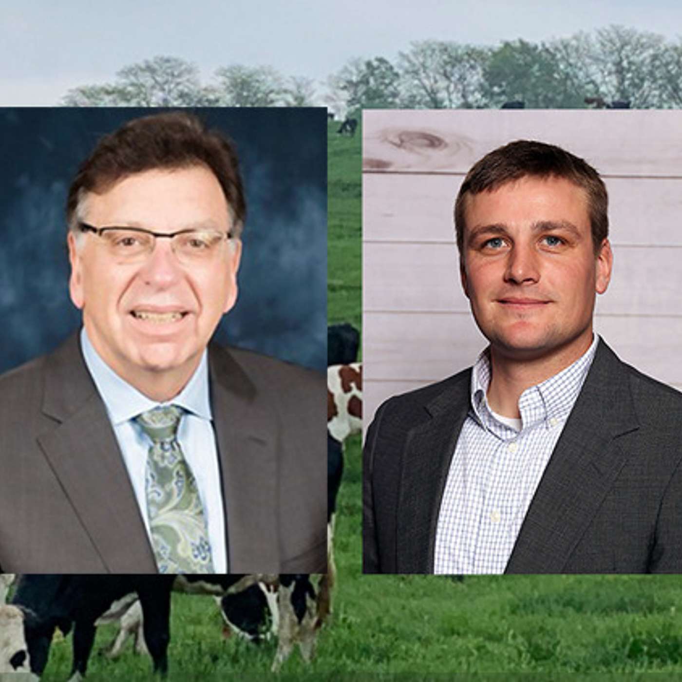 DairyVoice Podcast