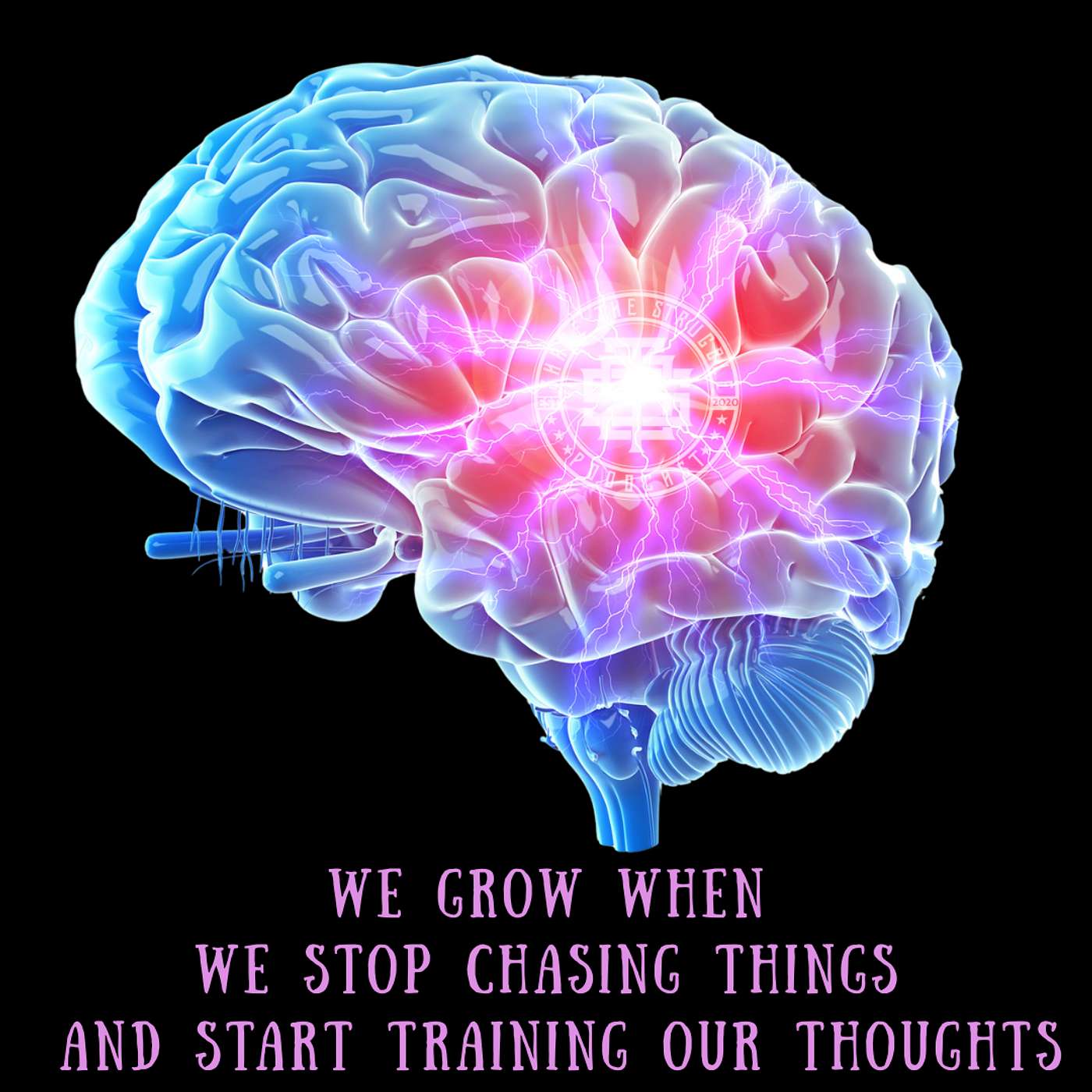 We Grow When We Stop Chasing Things And Start Training Our Thoughts