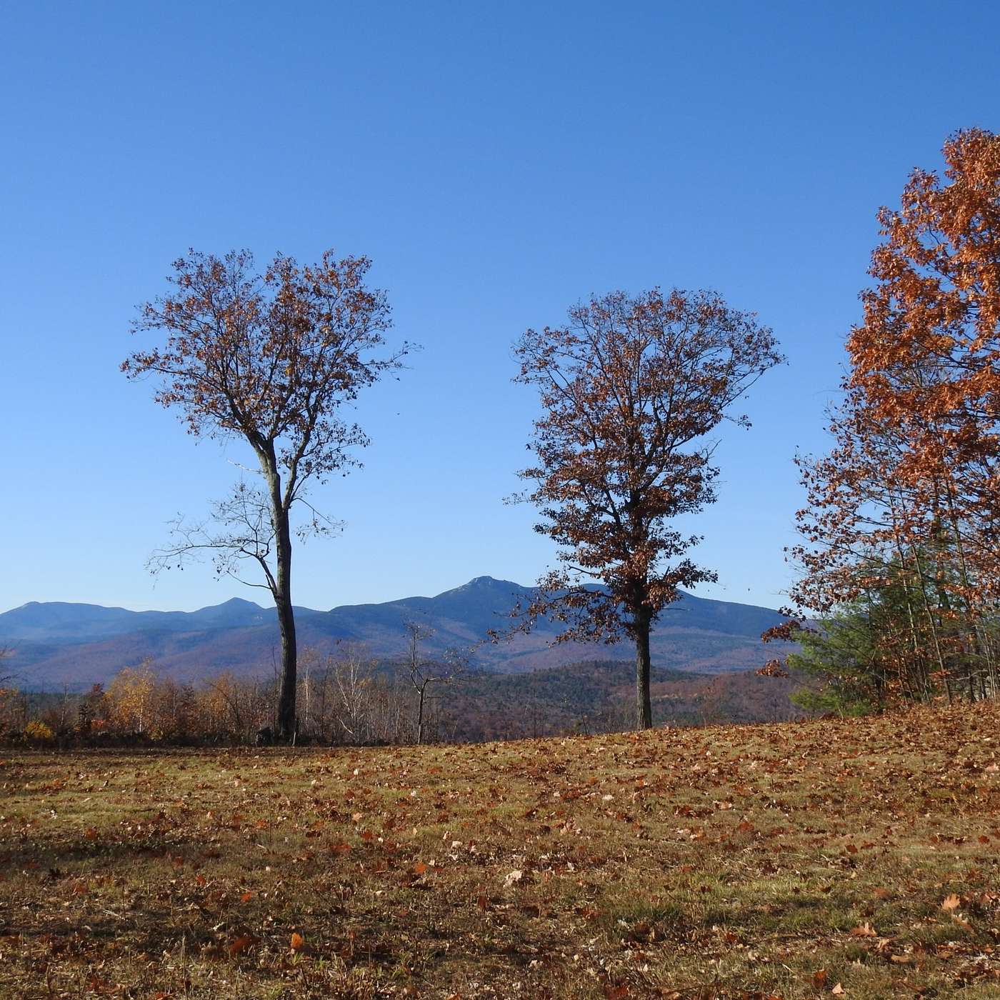 NOVEMBER