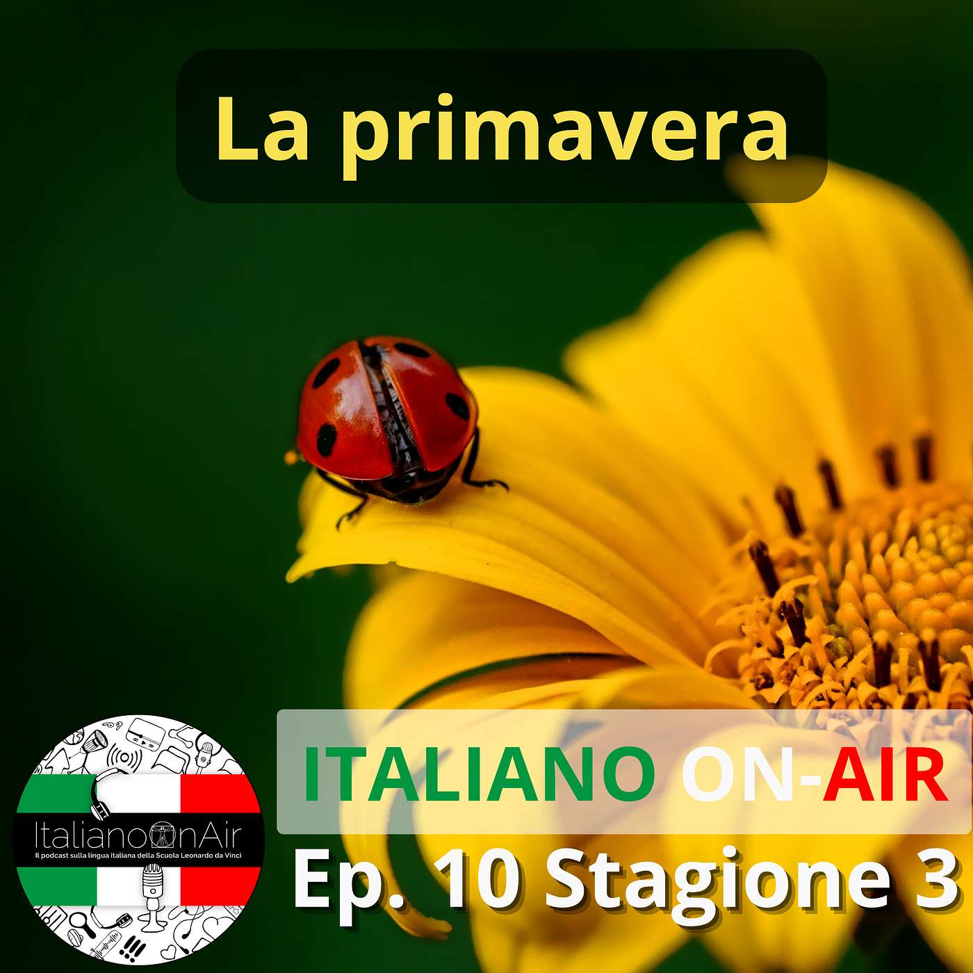 La primavera - Episodio 10 (stagione 3)