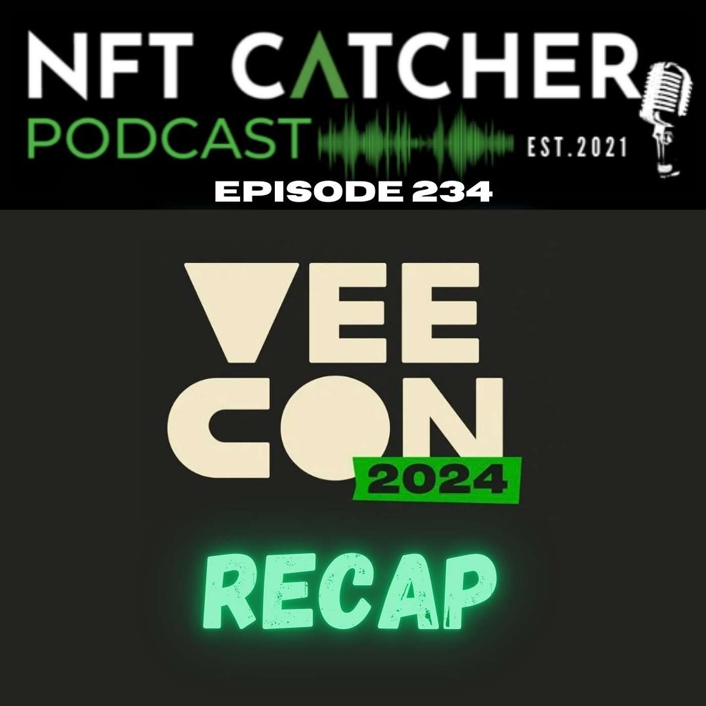 The VeeCon 2024 Recap