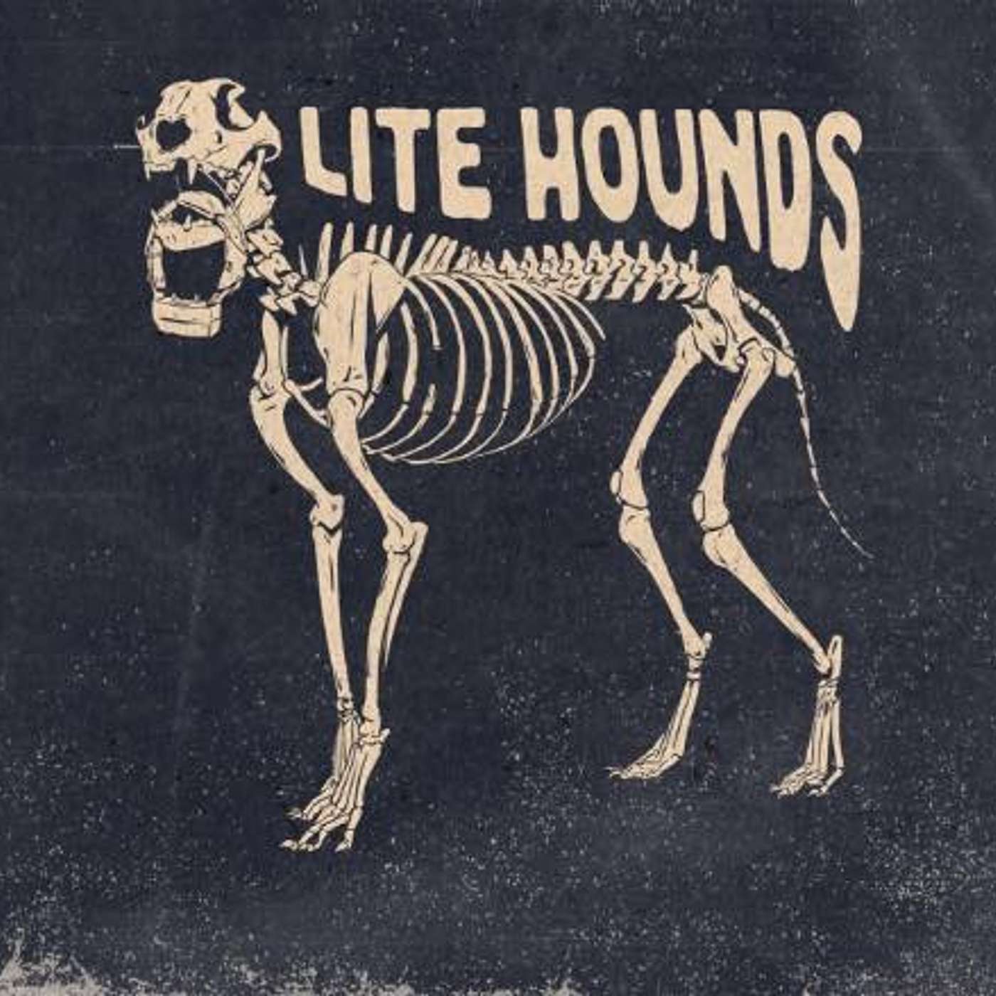 Don't Run with Lite Hounds podcast artwork