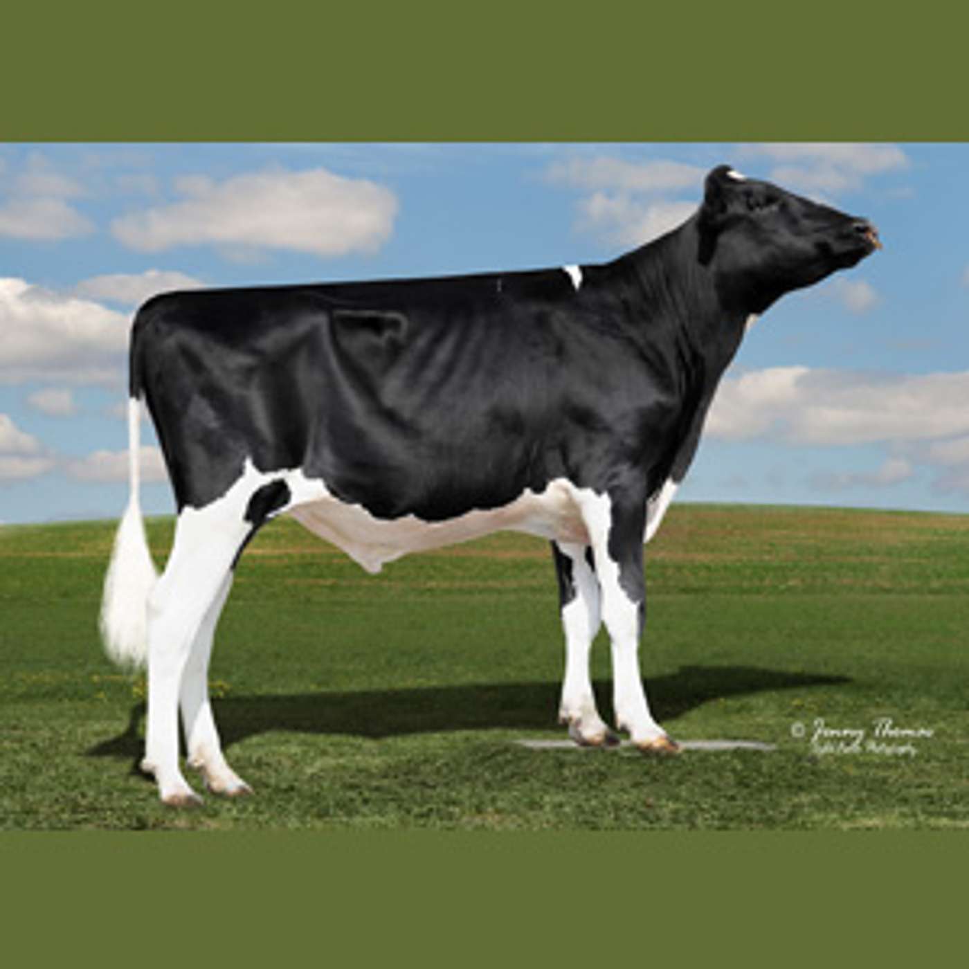 DairyVoice Podcast