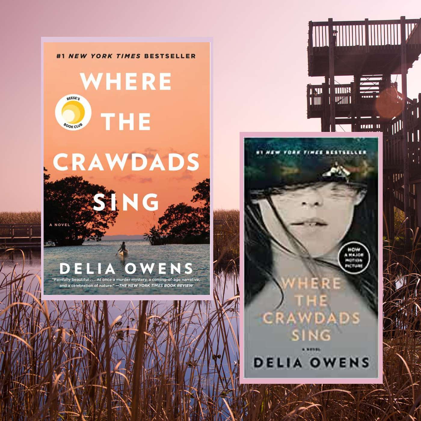 Where the Crawdads Sing by Delia Owens