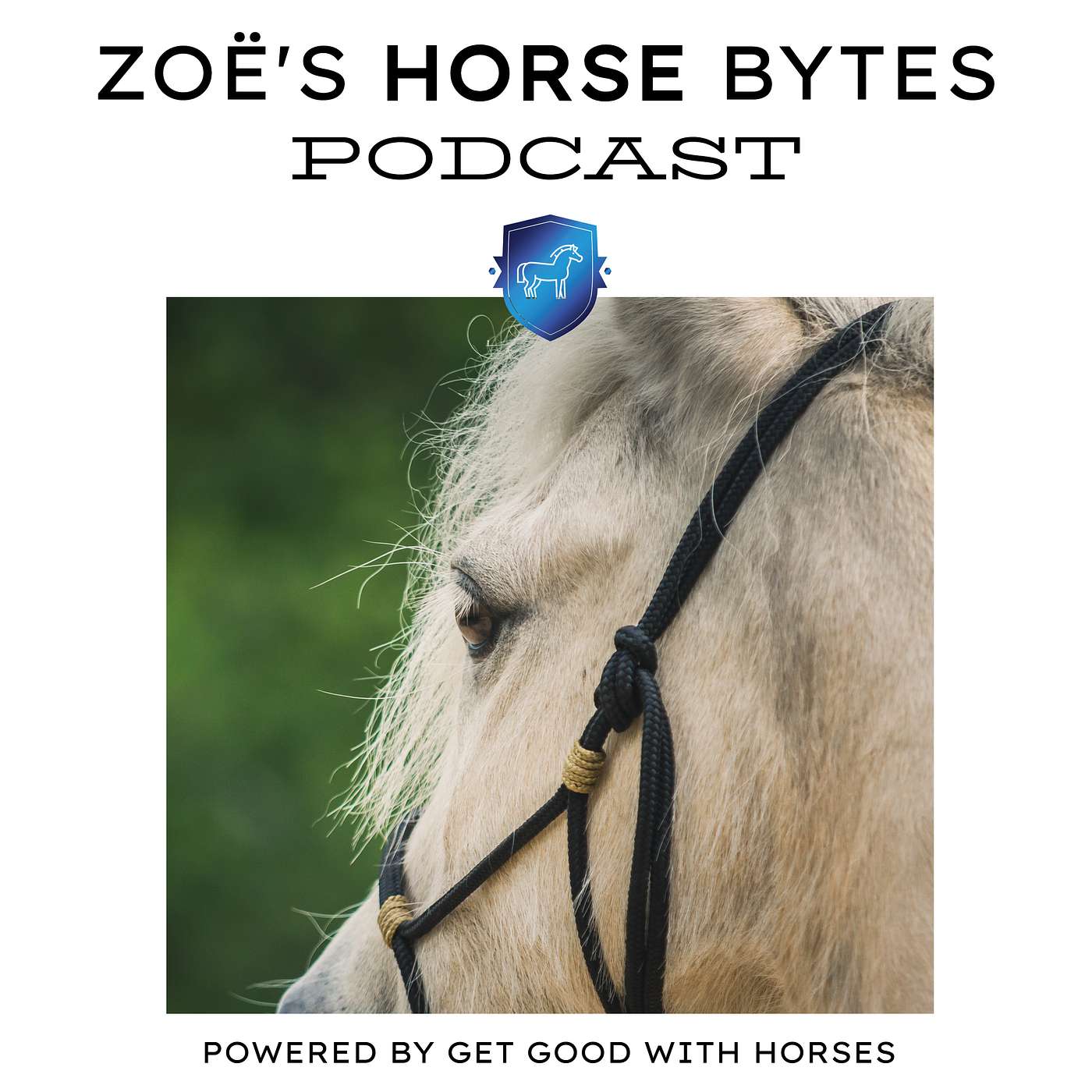 1. Ears forwards does not mean happy horse episode artwork