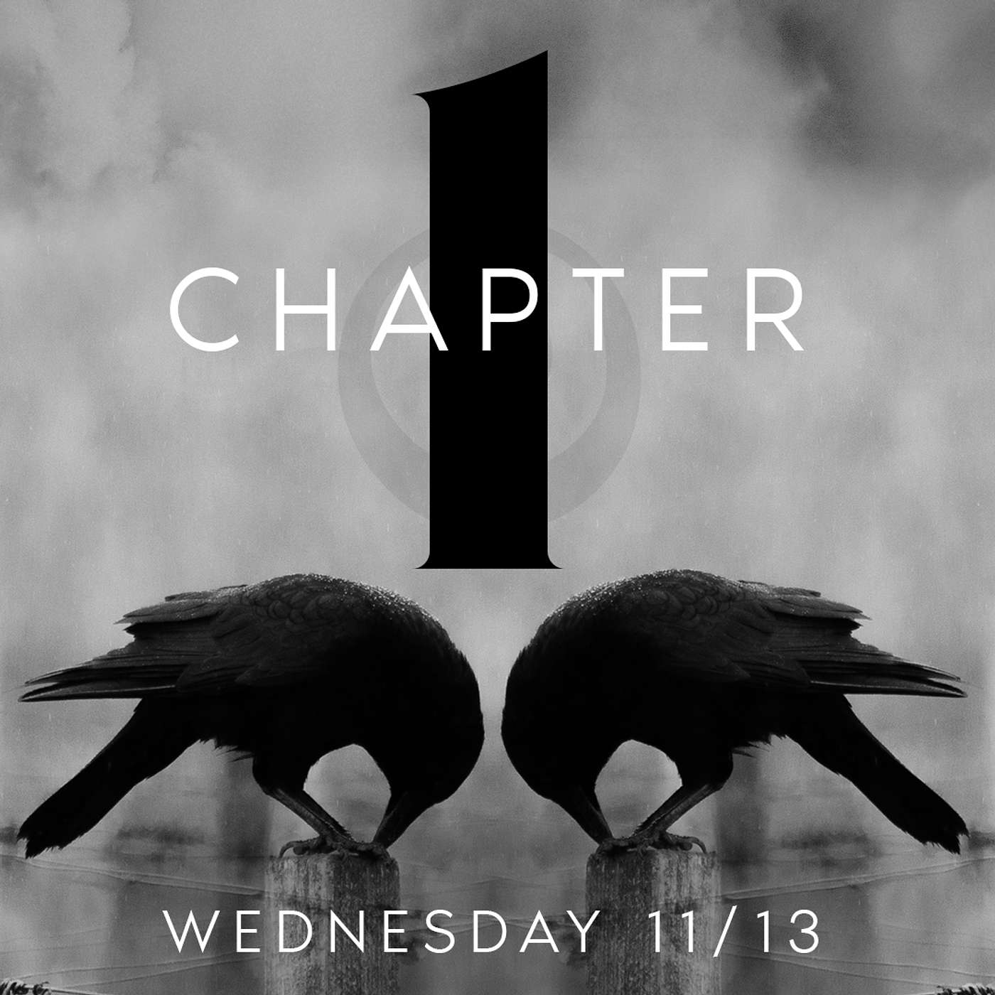 Chapter 1