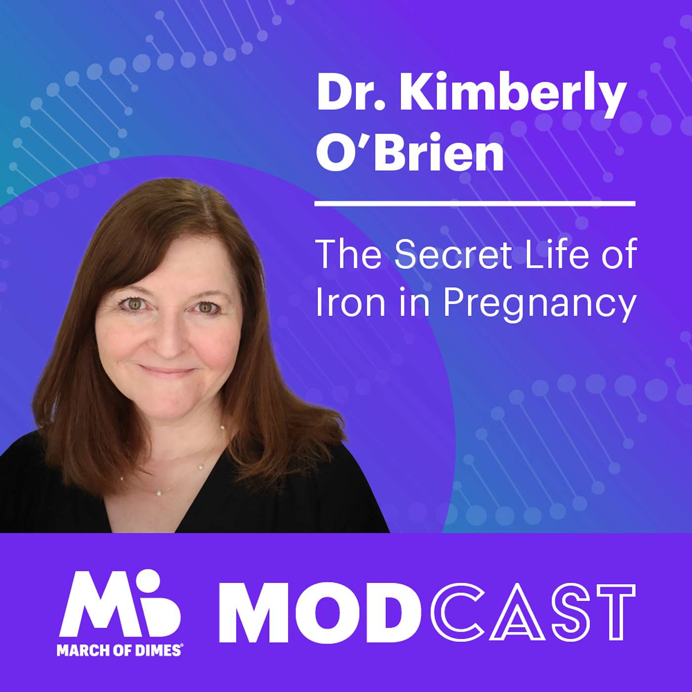 Dr. Kimberly O’Brien on the Secret Life of Iron in Pregnancy
