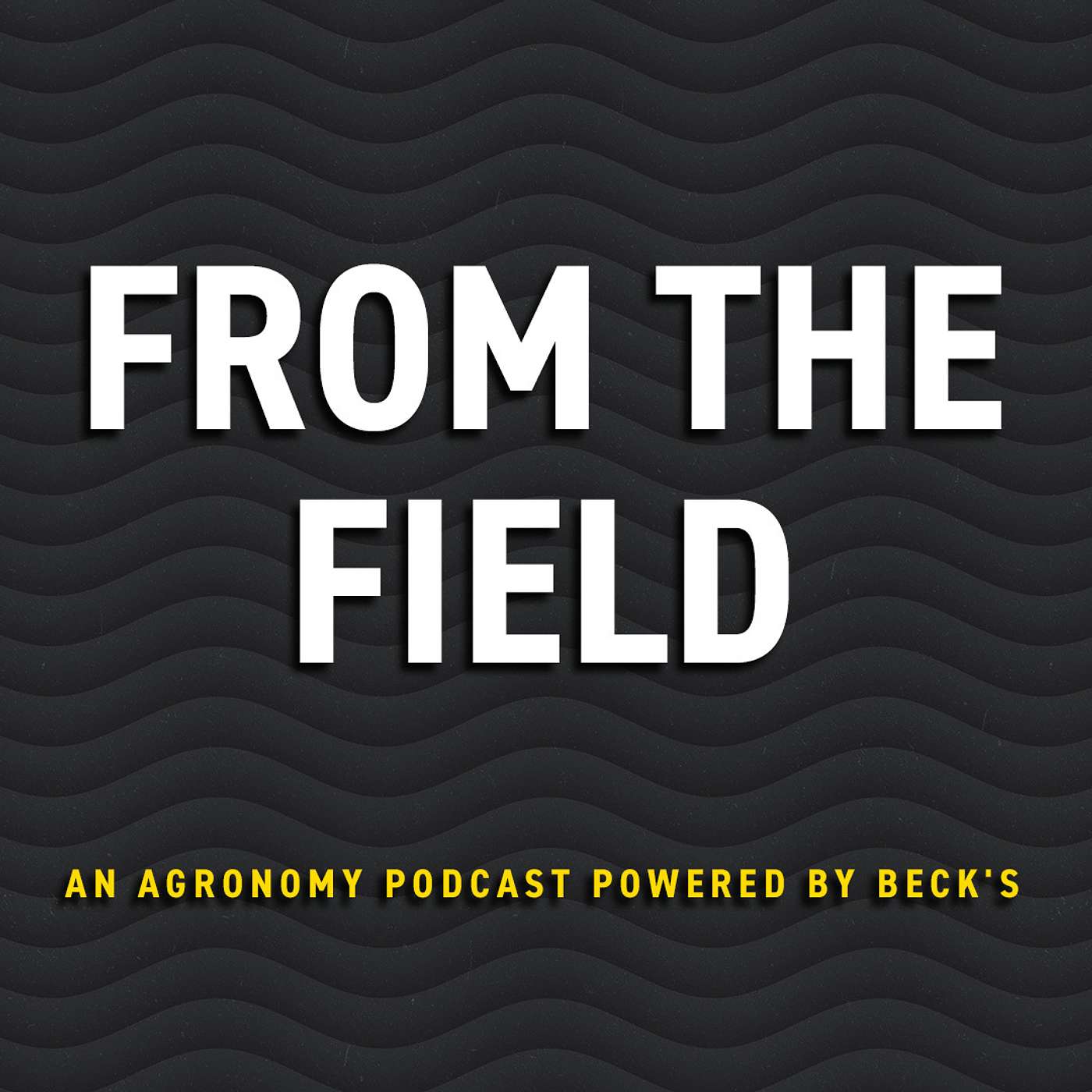 Episode 9 - From the Field: An Agronomy Podcast - Replant and Thin Stand Management episode artwork