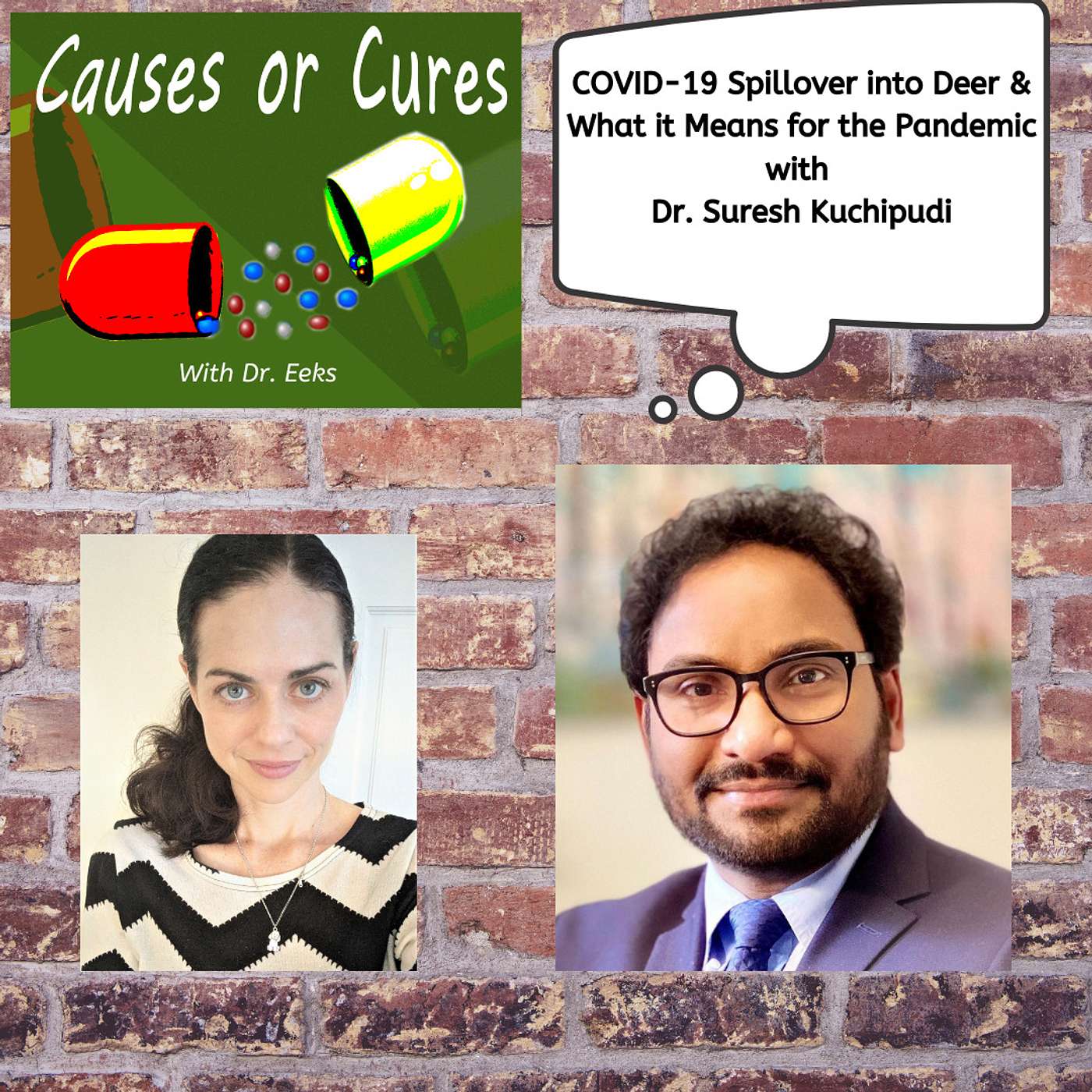 COVID-19 Spillover into White-Tailed Deer & What it Means for the Pandemic, with Dr. Suresh KuchiPudi