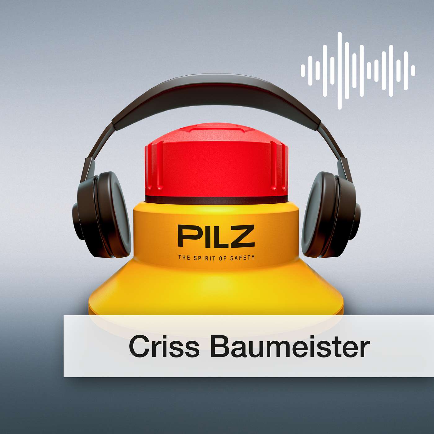 Pilz GmbH & Co. KG