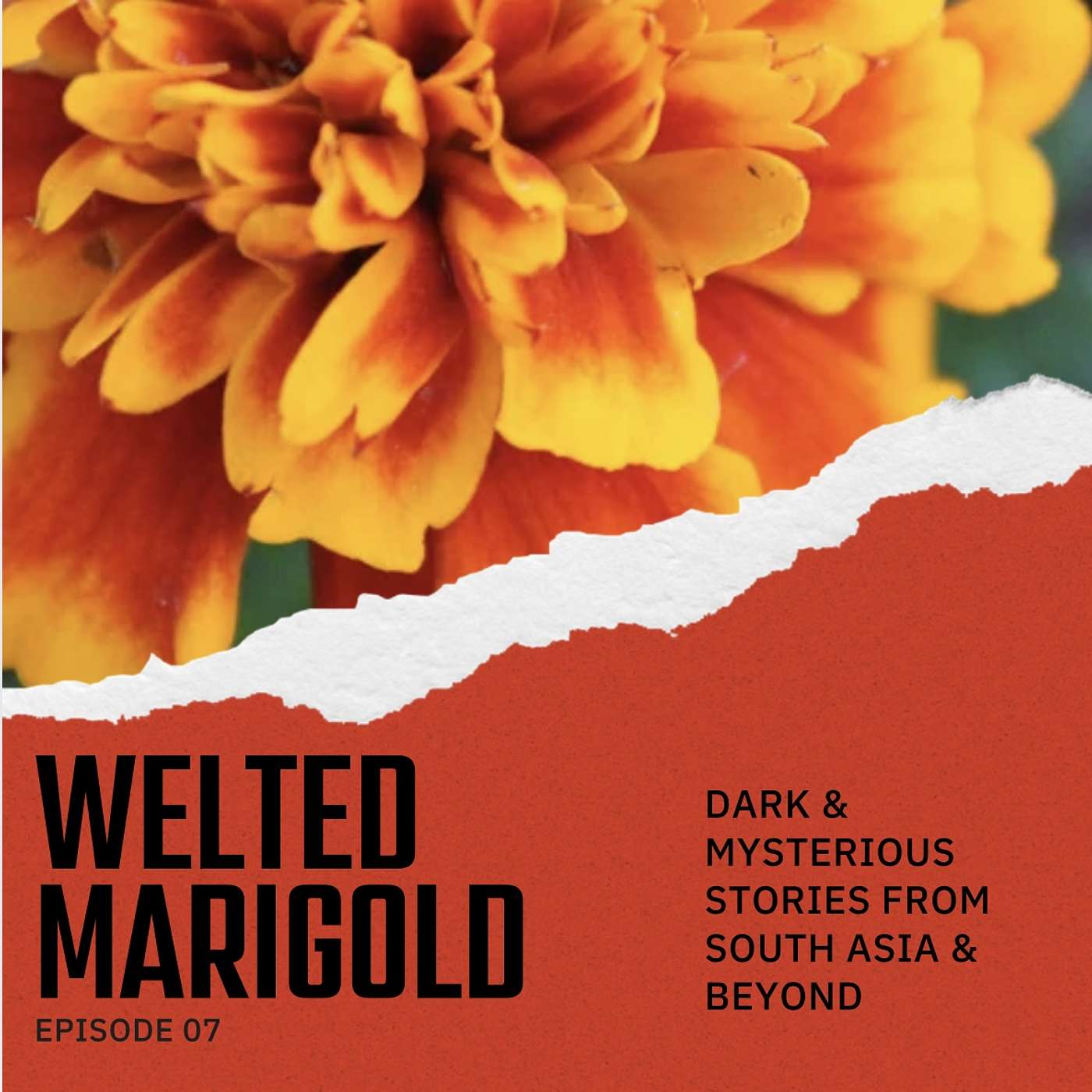 The Aarushi Talwar & Hemraj Murder Case : India’s Most Controversial Case - True Crime - Welted Marigold