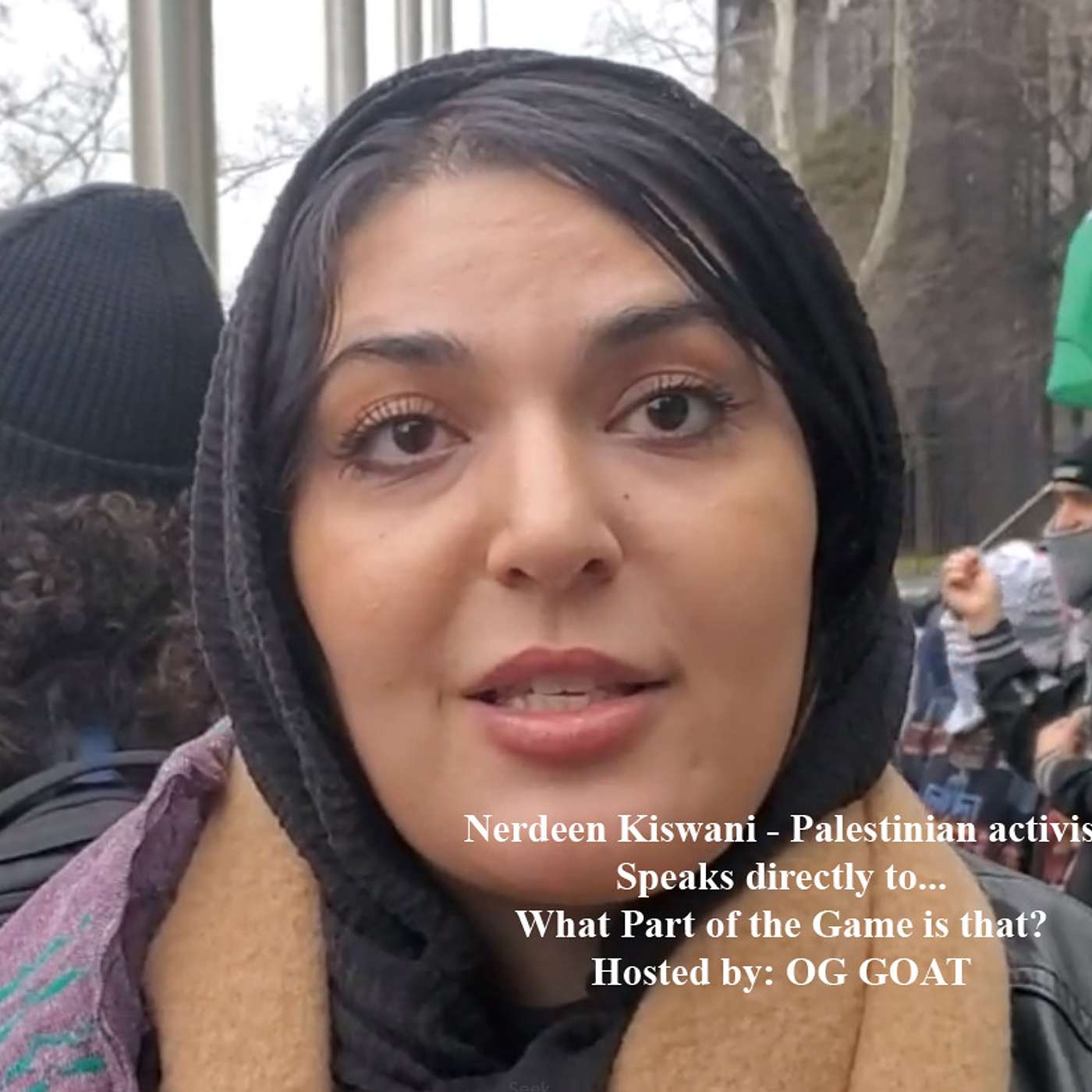 Nerdeen Kiswani's call to Conscience in South Side Jamaica Queens: The Harrowing Plight of Palestinians and the US's Role in their Suffering