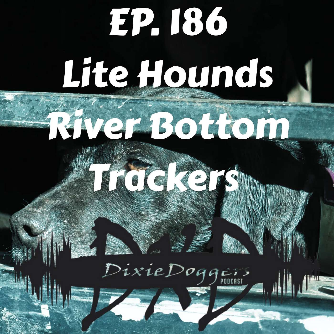 EP. 186 Don't Run from Lite Hounds with River Bottom Trackers