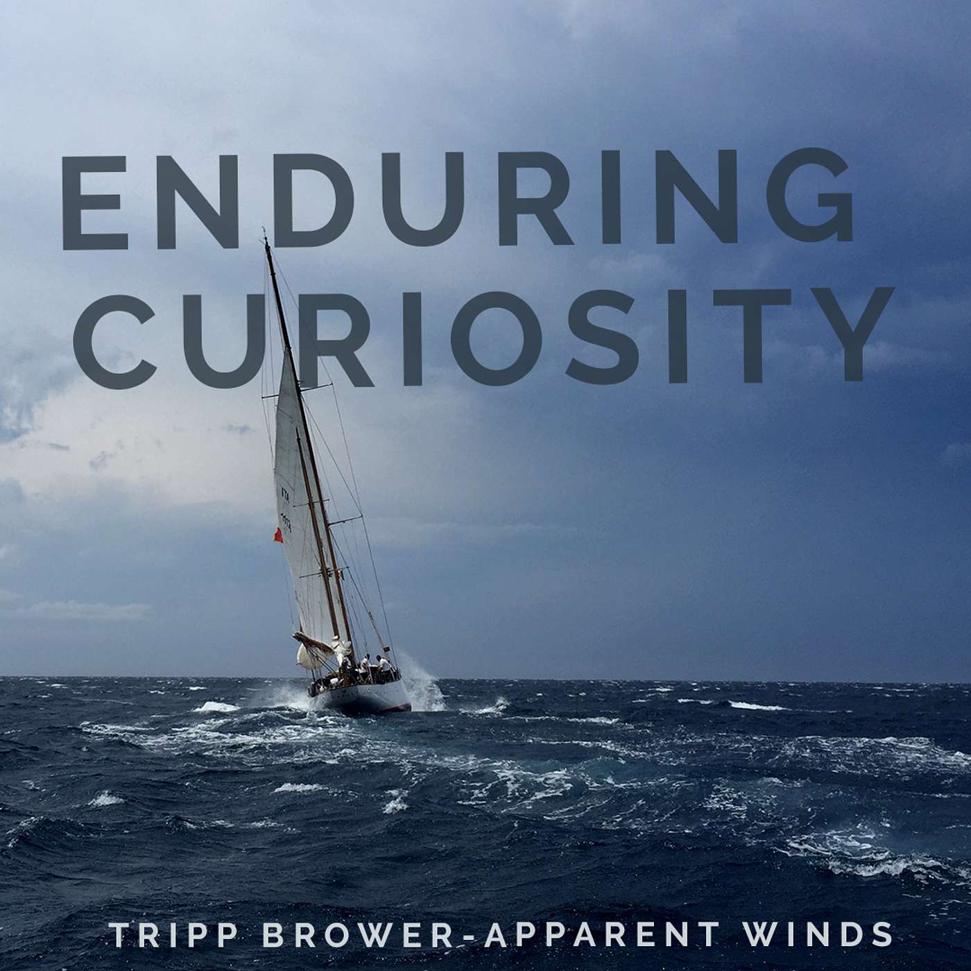 Enduring Curiosity