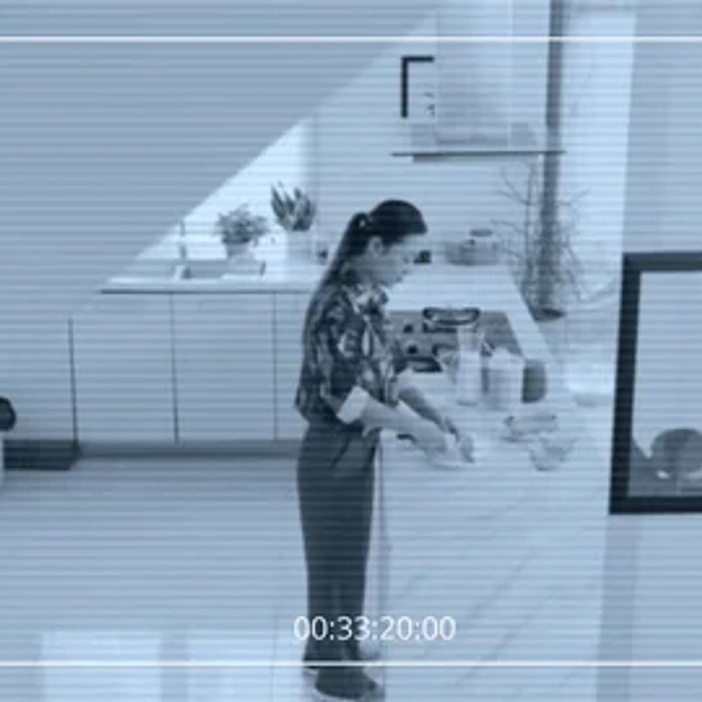 394. Hidden Cameras in Vacation Rentals.