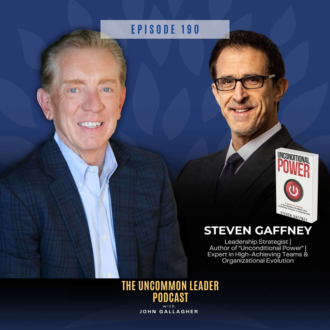 Episode 190: Unconditional Power - Achieve Results, Not Just Work with Steven Gaffney