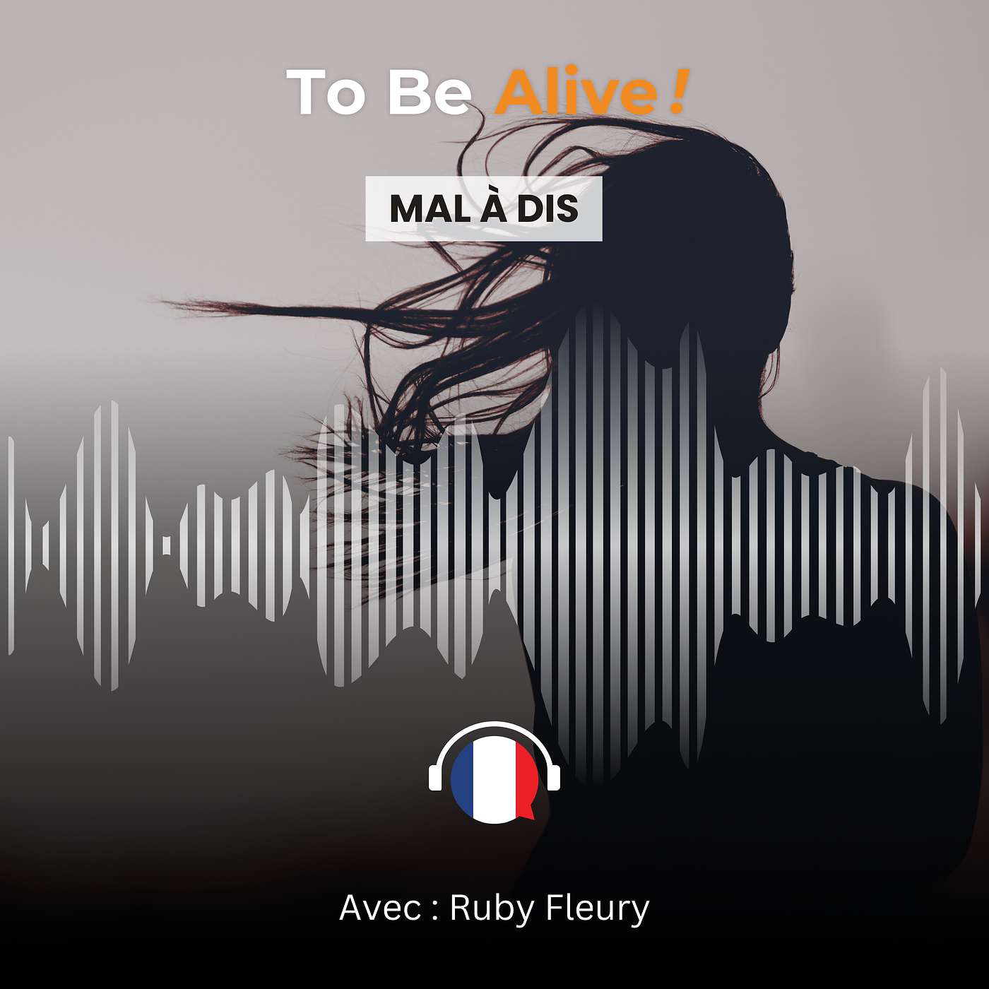 Mal à Dis - Episode E13 [FR] episode artwork