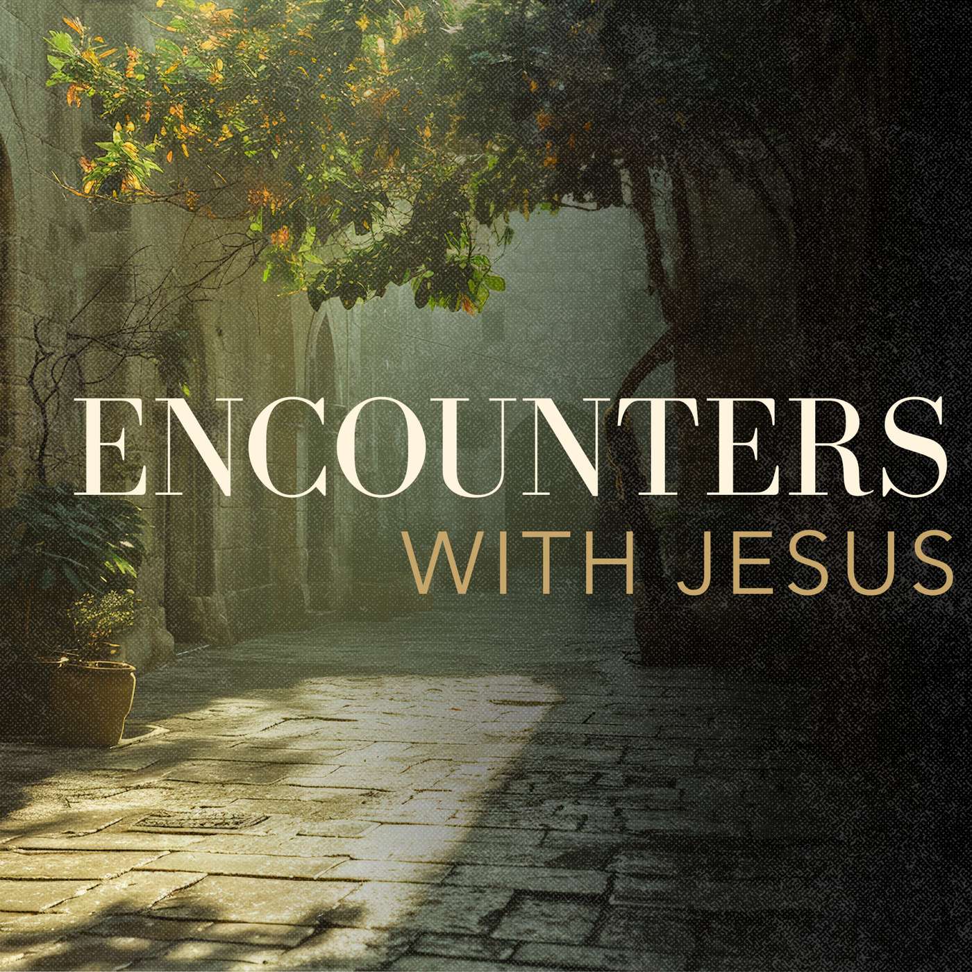 A Different Encounter episode artwork