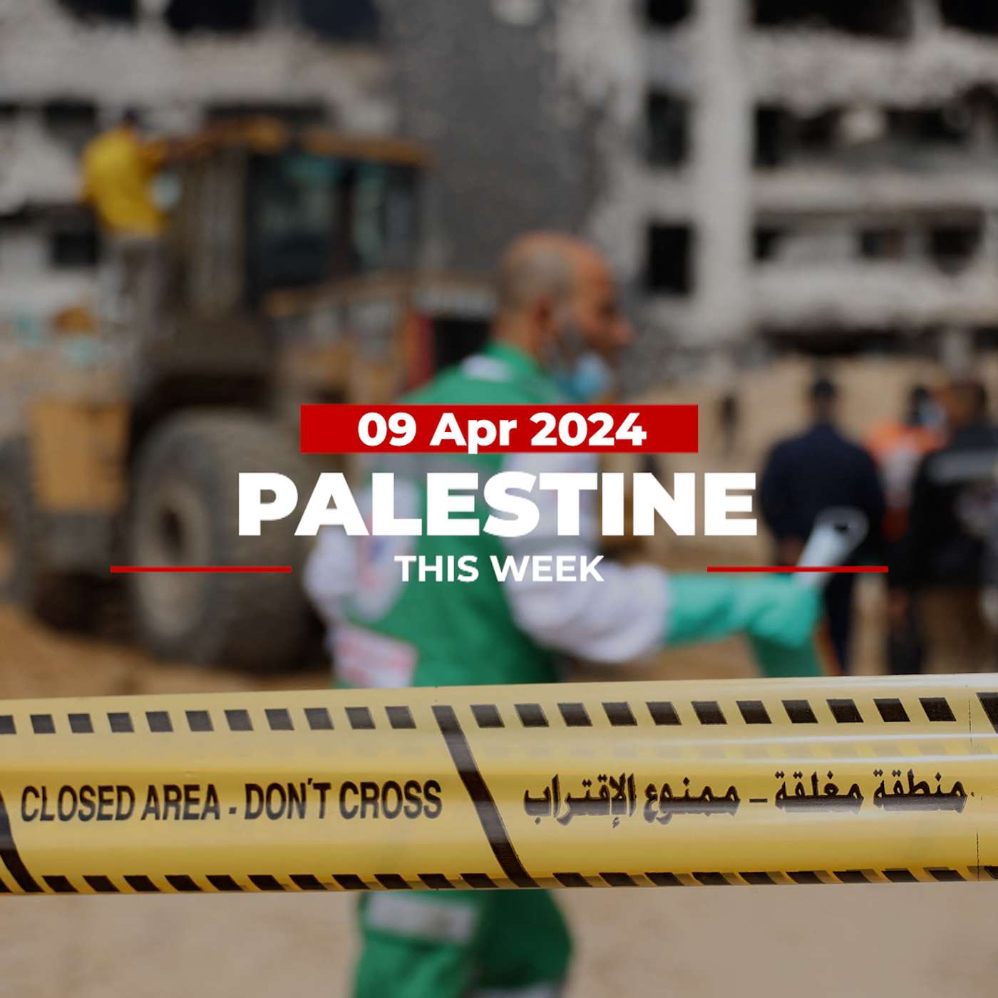 Palestine This Week