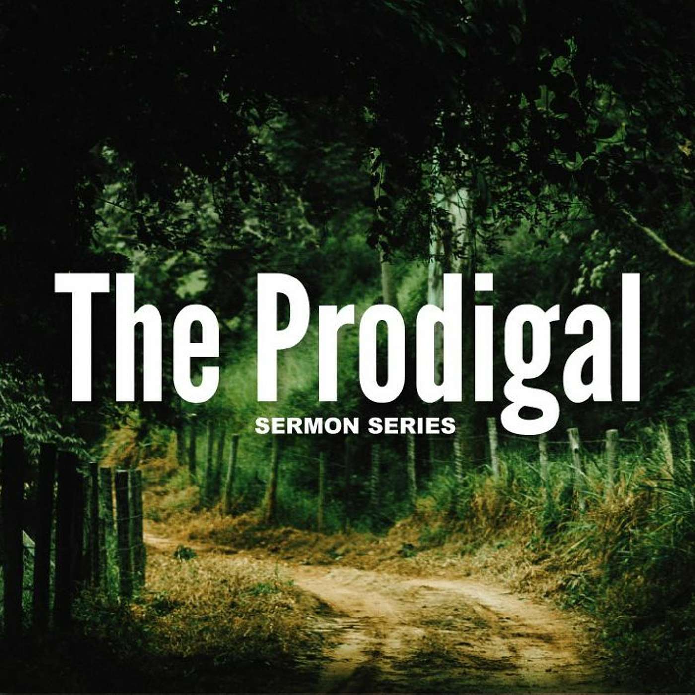 July 24 2022 - The Prodigal Part 2 - The Father -  Steve Sundby episode artwork