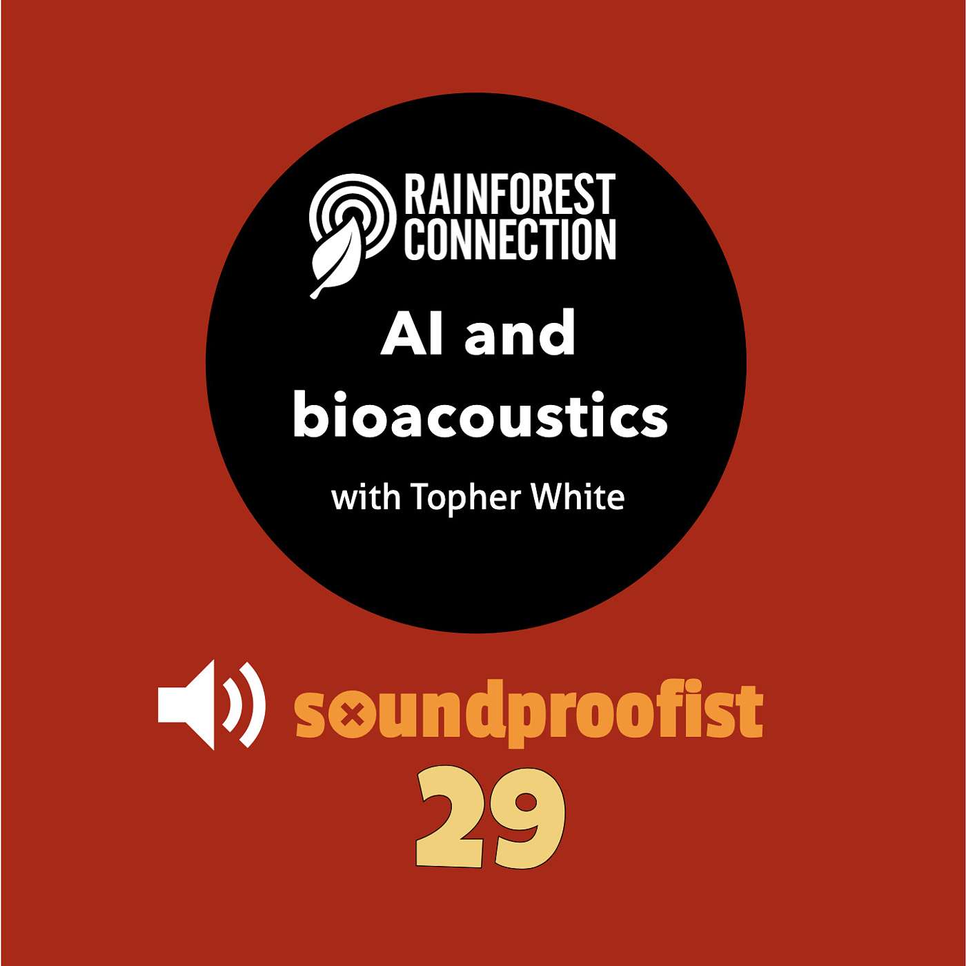 29 | Combining AI and bioacoustics, with Topher White of Rainforest Connection