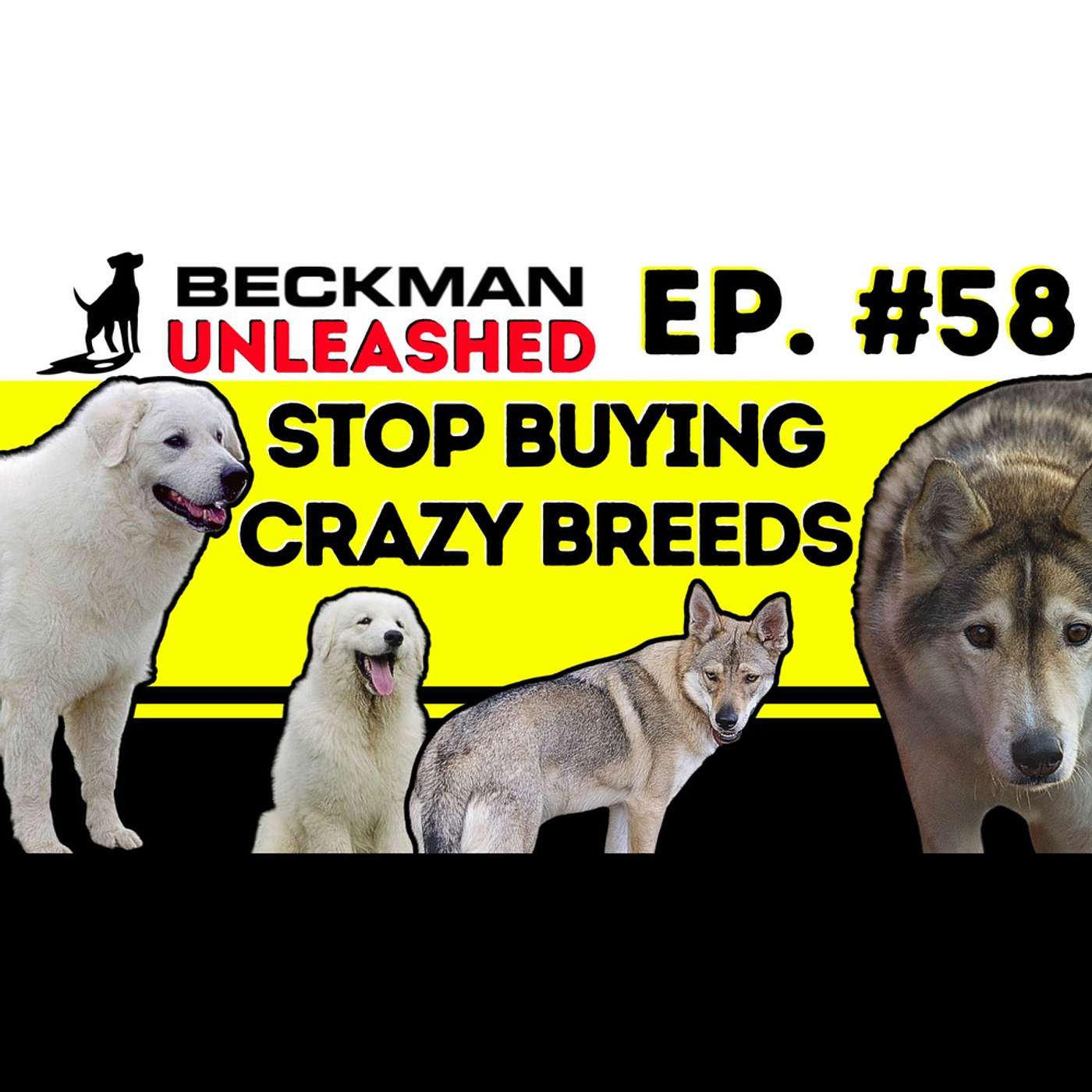 Beckman Unleashed - Enough with Purchasing these Bizarre Breeds that are Extremely Difficult to Handle