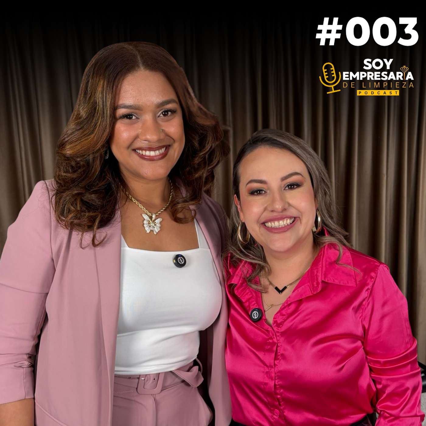 Soy Empresaria de Limpieza