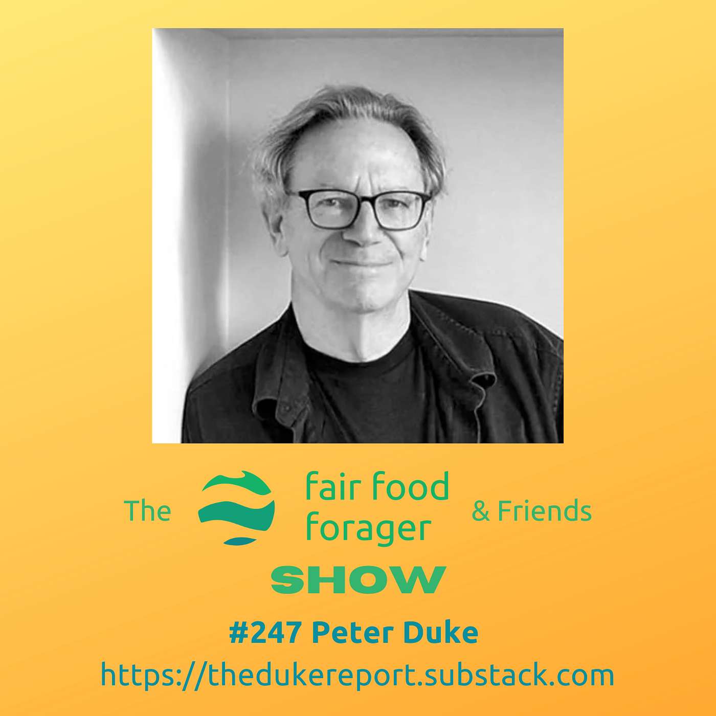 #247 Peter Duke - Epistemological warfare, psychological operations & scripted narratives episode artwork