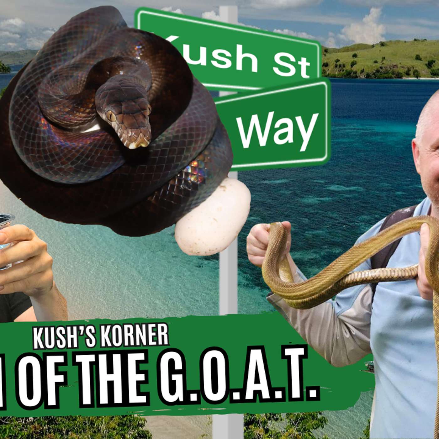 Herping Moluccan Scrubs And Biak Scrub Eggs | Kush's Korner Live