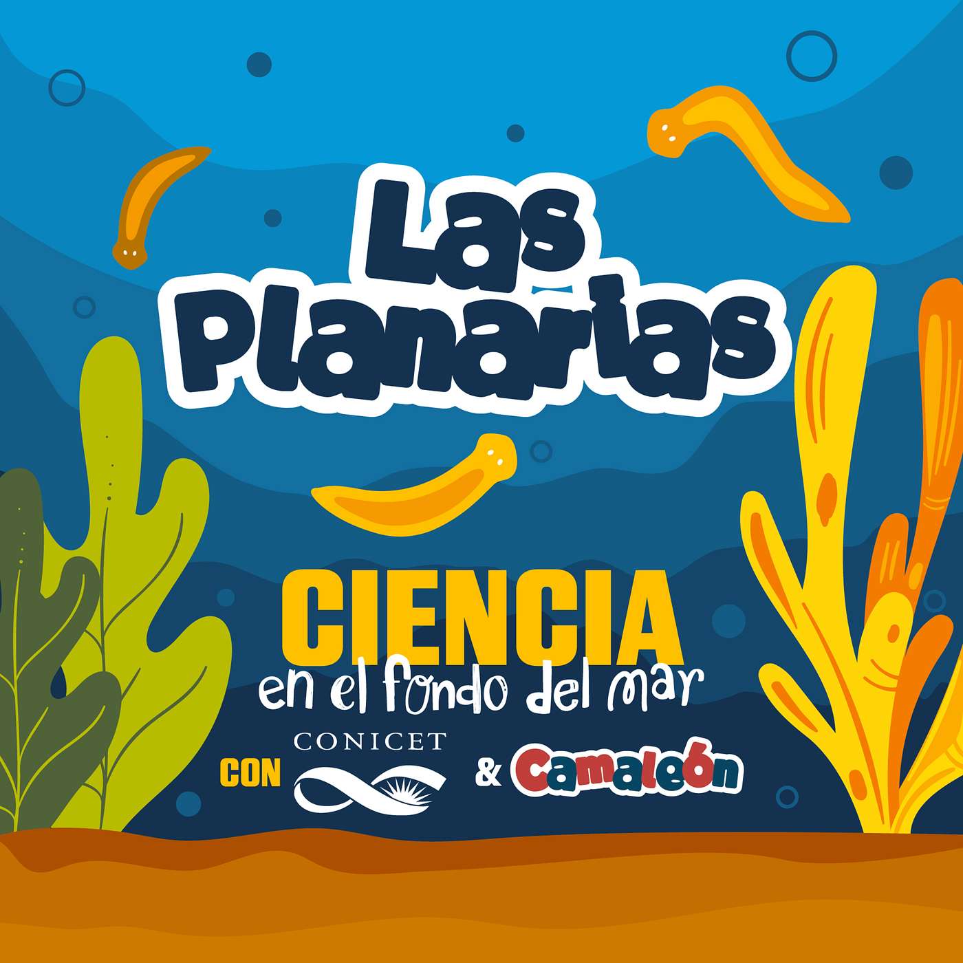 Planarias: El animal que puede reconstruir su cerebro episode artwork