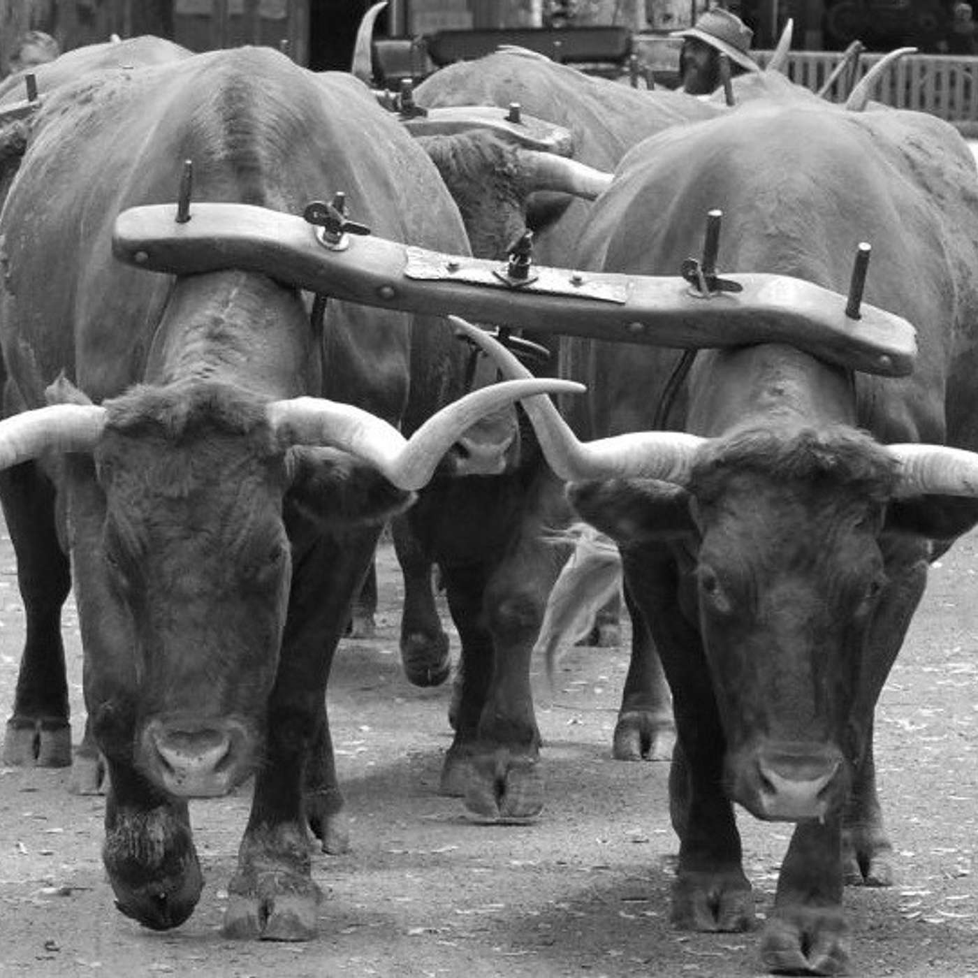 The Church at Sun Coast