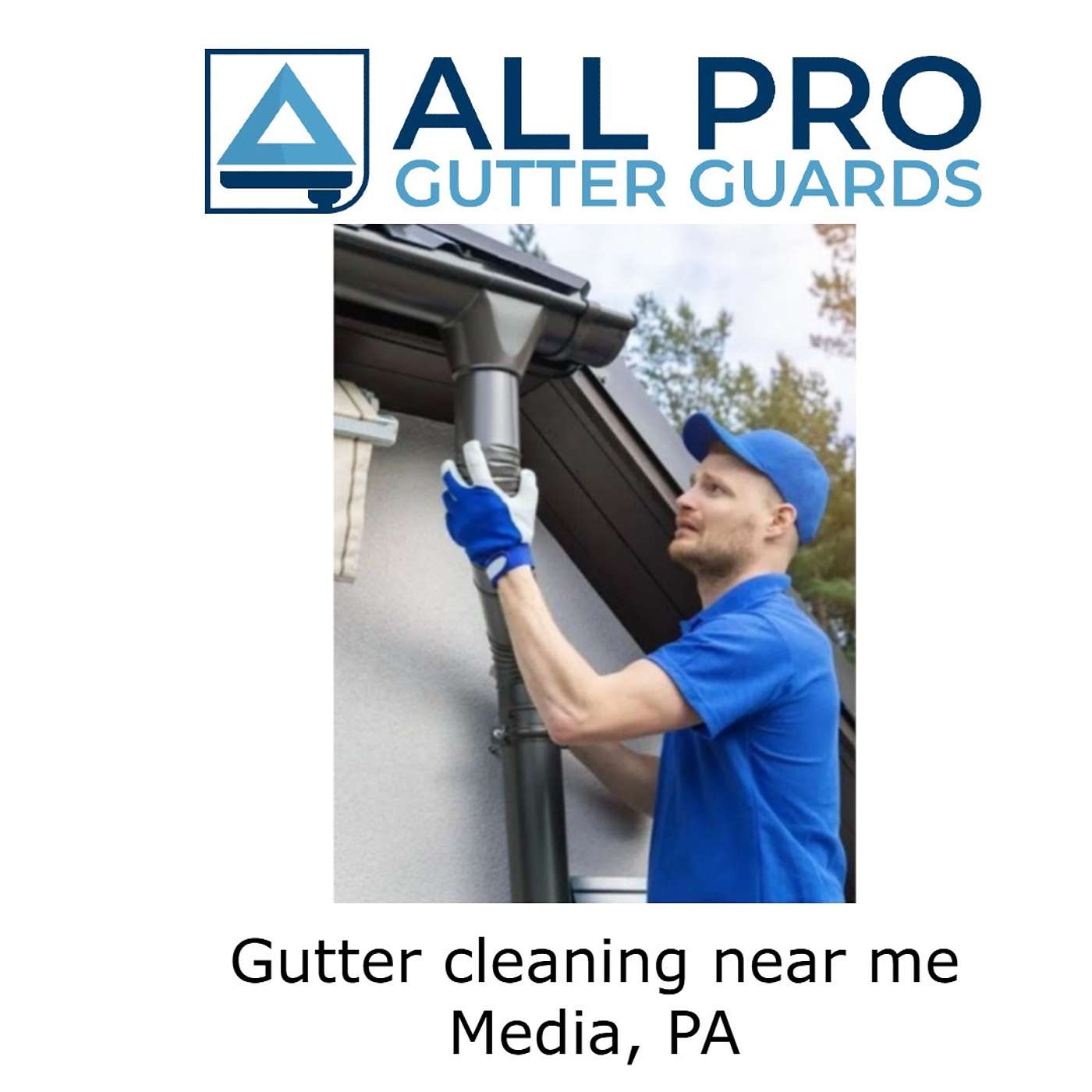 Gutter cleaning near me Media, PA episode artwork
