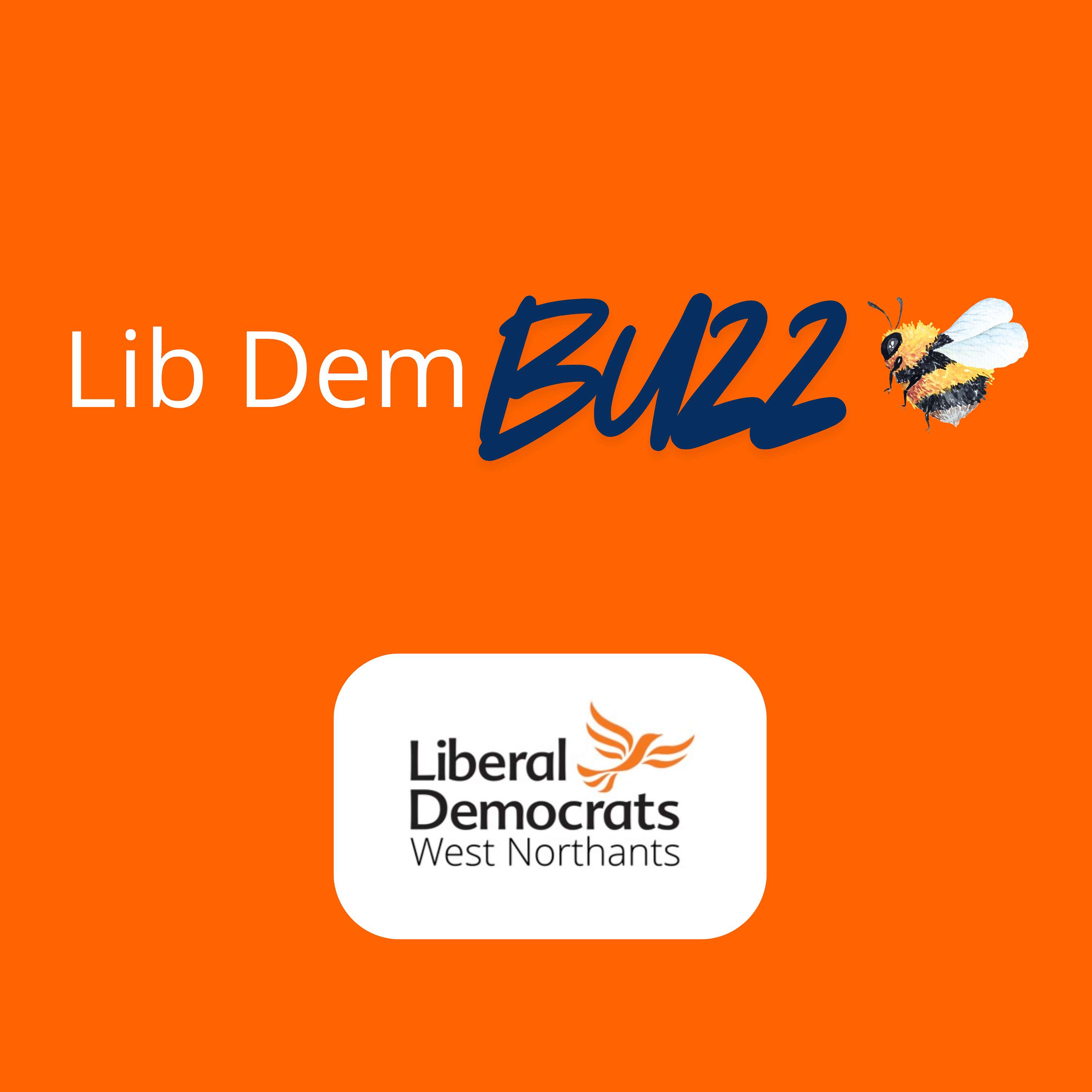 The Lib Dem Buzz cover art