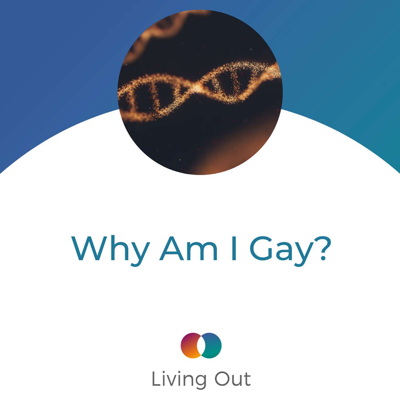 Why Am I Gay? (Questions No One Wants To Answer #6) episode artwork