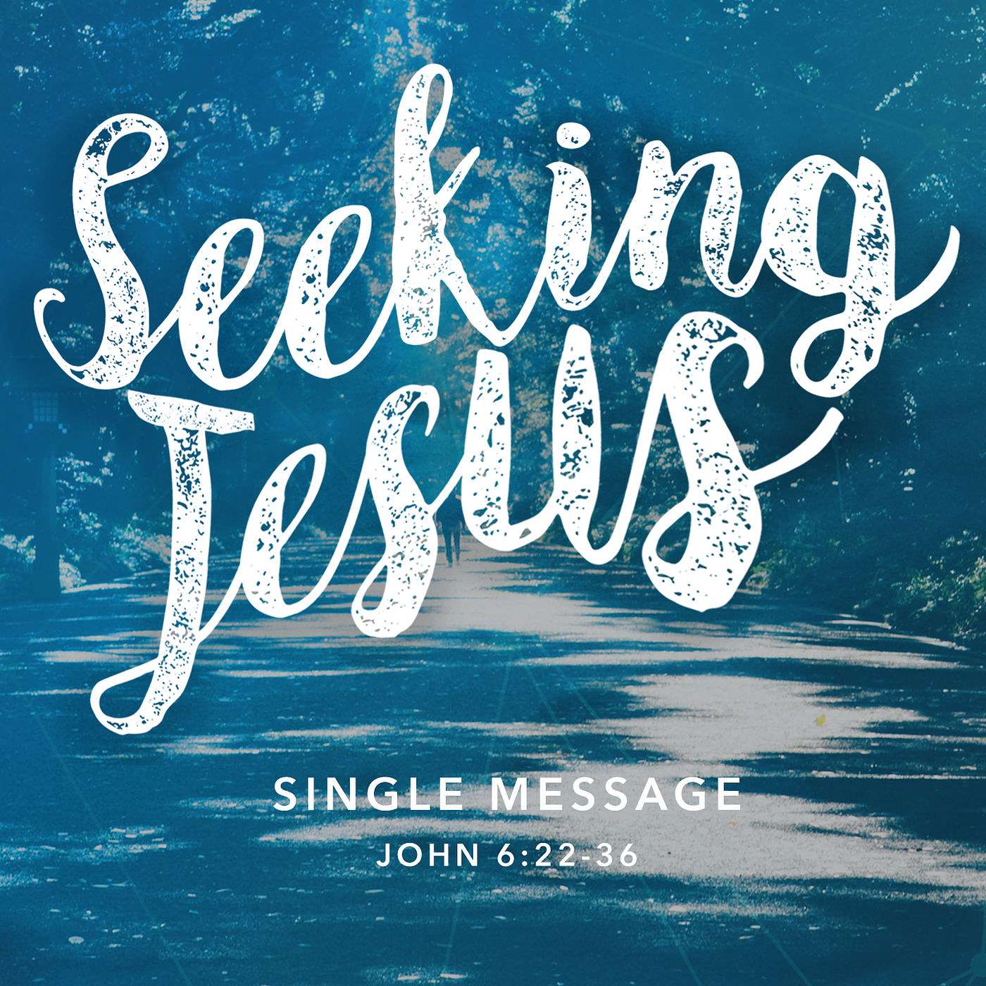 Seeking Jesus