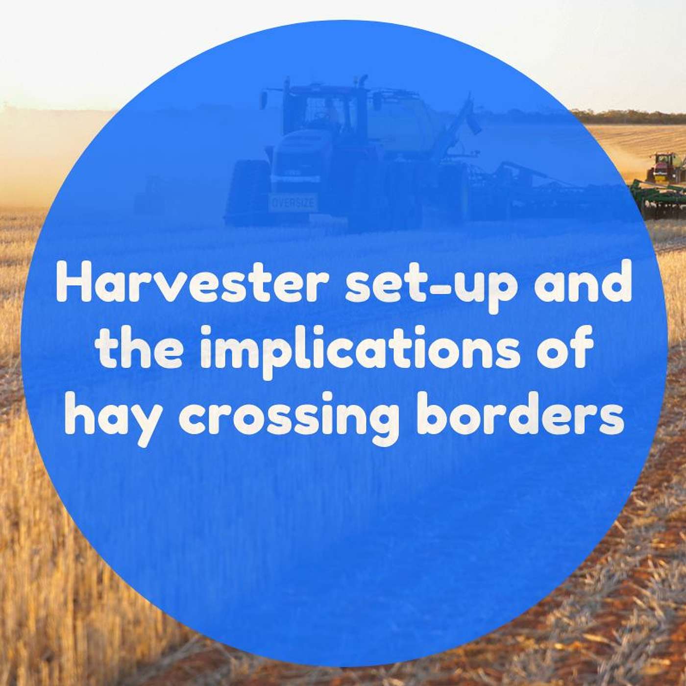 Harvester set-up and implications of hay crossing borders