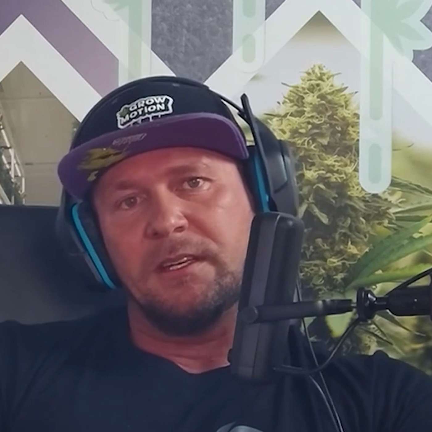 Inside Europe's Hidden Cannabis Cultivation Revolution | Episode 22
