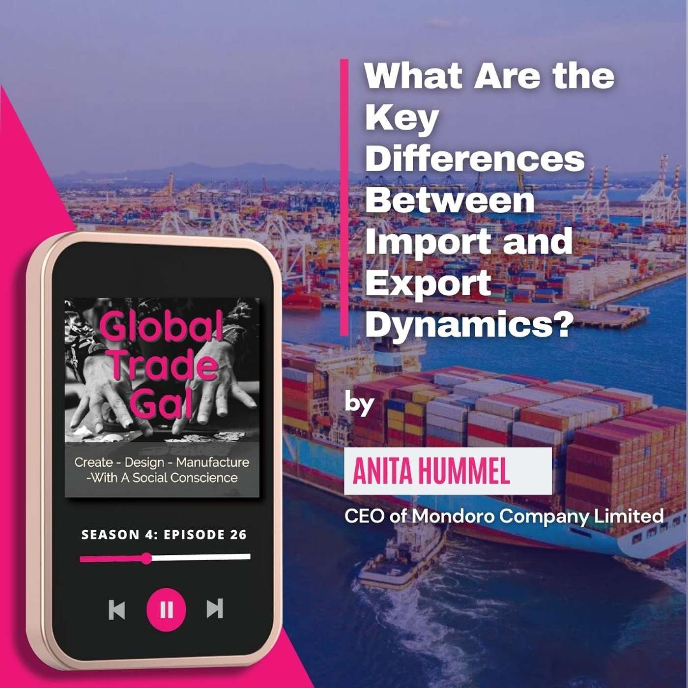 What Are the Key Differences Between Import and Export Dynamics?