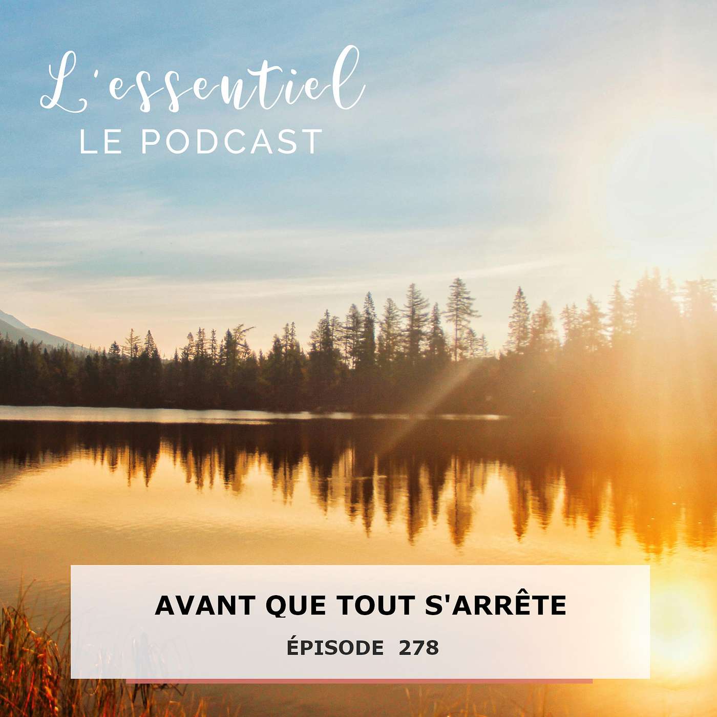 Ep #278 : Avant que tout s’arrête