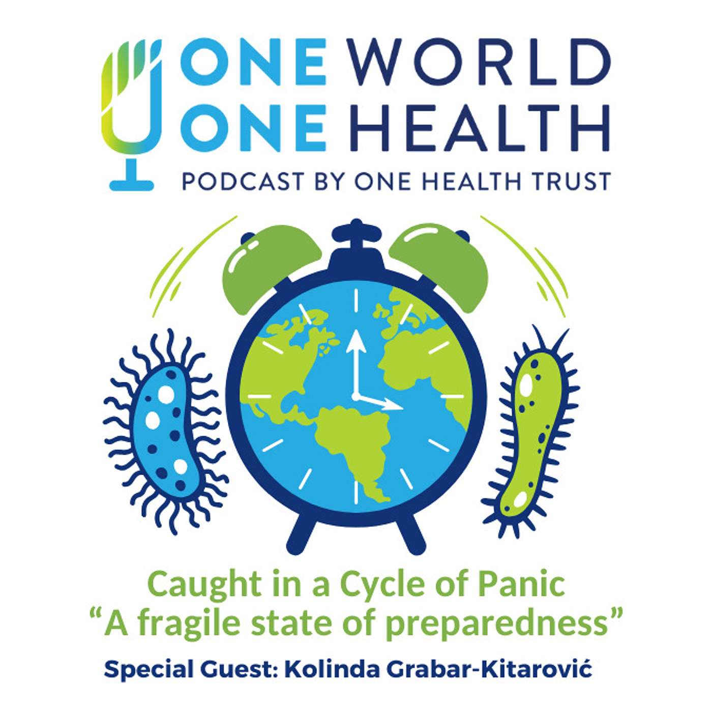 Caught in a Cycle of Panic – “A fragile state of preparedness”