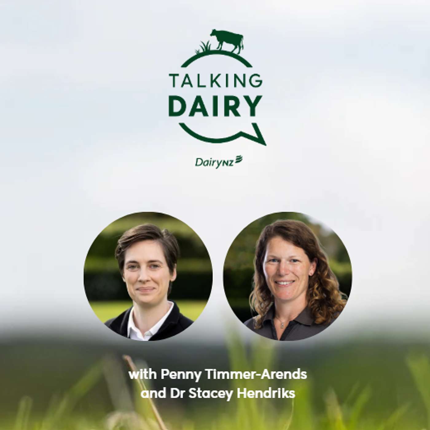 Cow wellbeing at the leading edge | Ep. 113