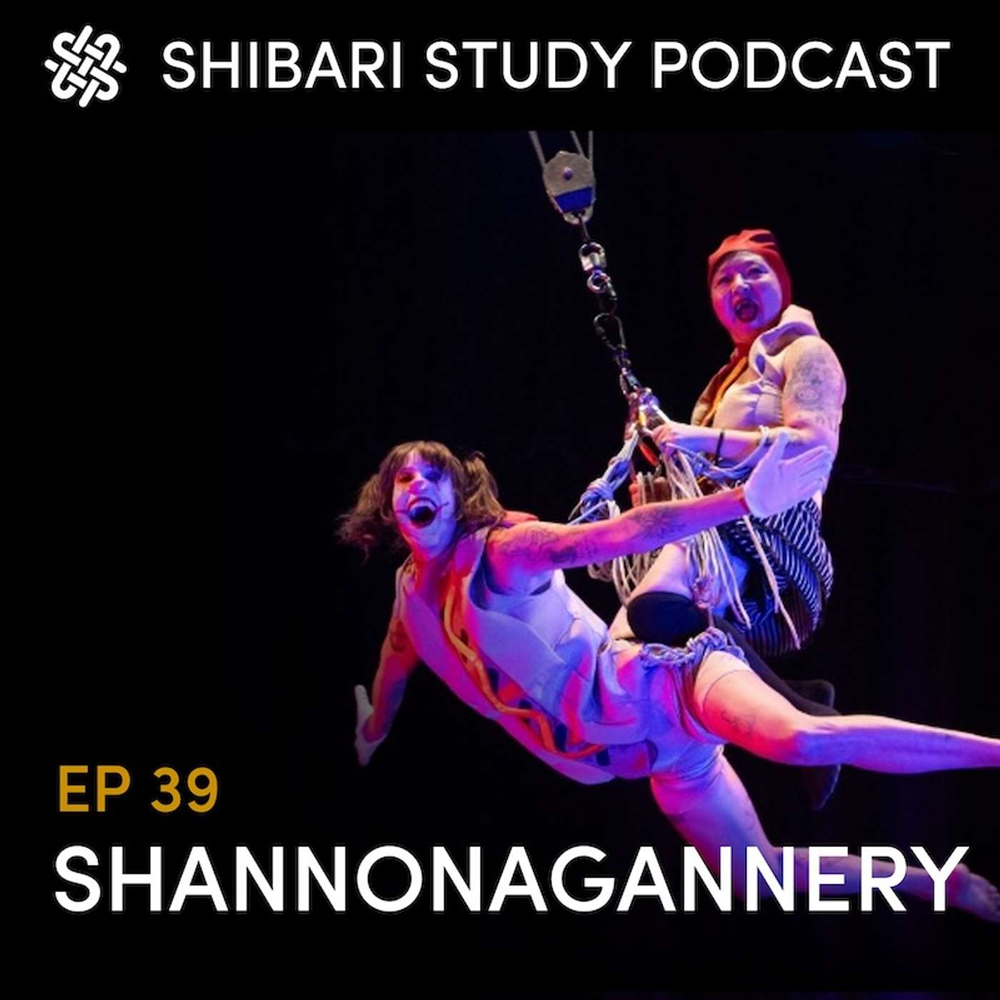 EP 39: Shannonagannery